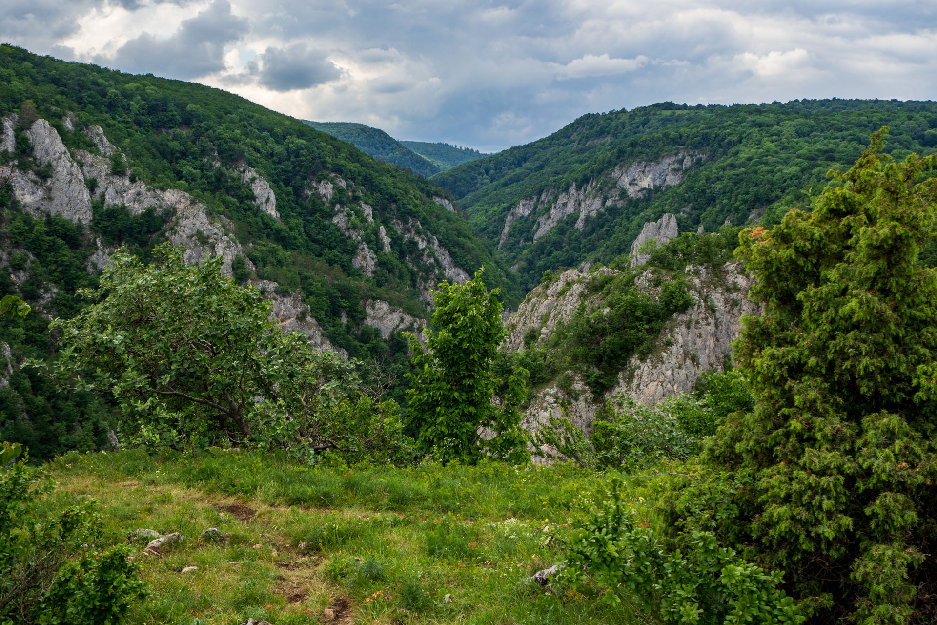 Vyhliadka za Okrúhlym lazom z Hája (Slovenský kras)