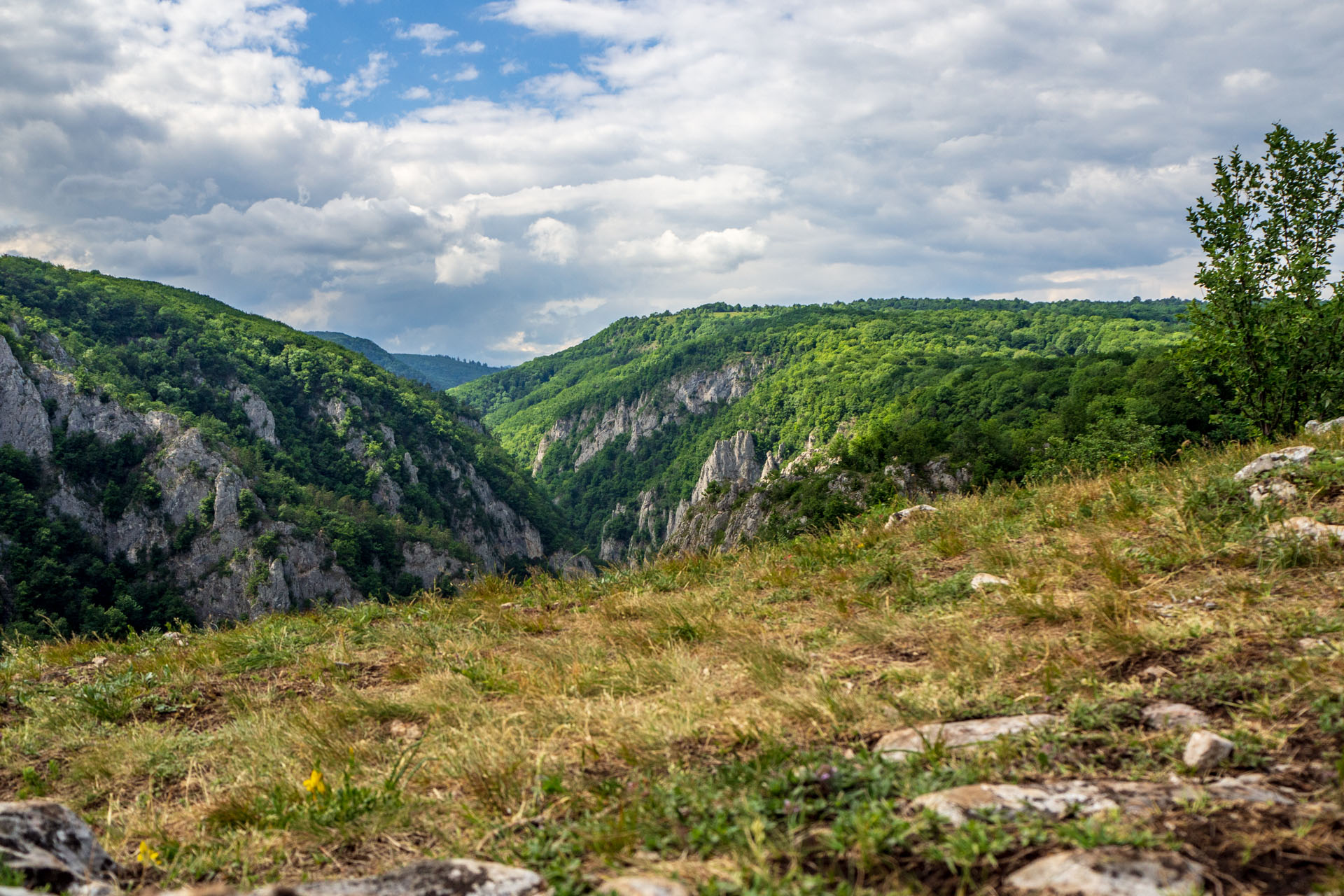 Vyhliadka za Okrúhlym lazom z Hája (Slovenský kras)