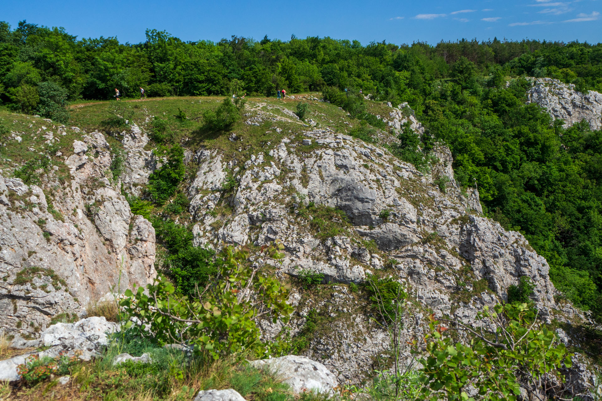 Vyhliadka za Okrúhlym lazom z Hája (Slovenský kras)