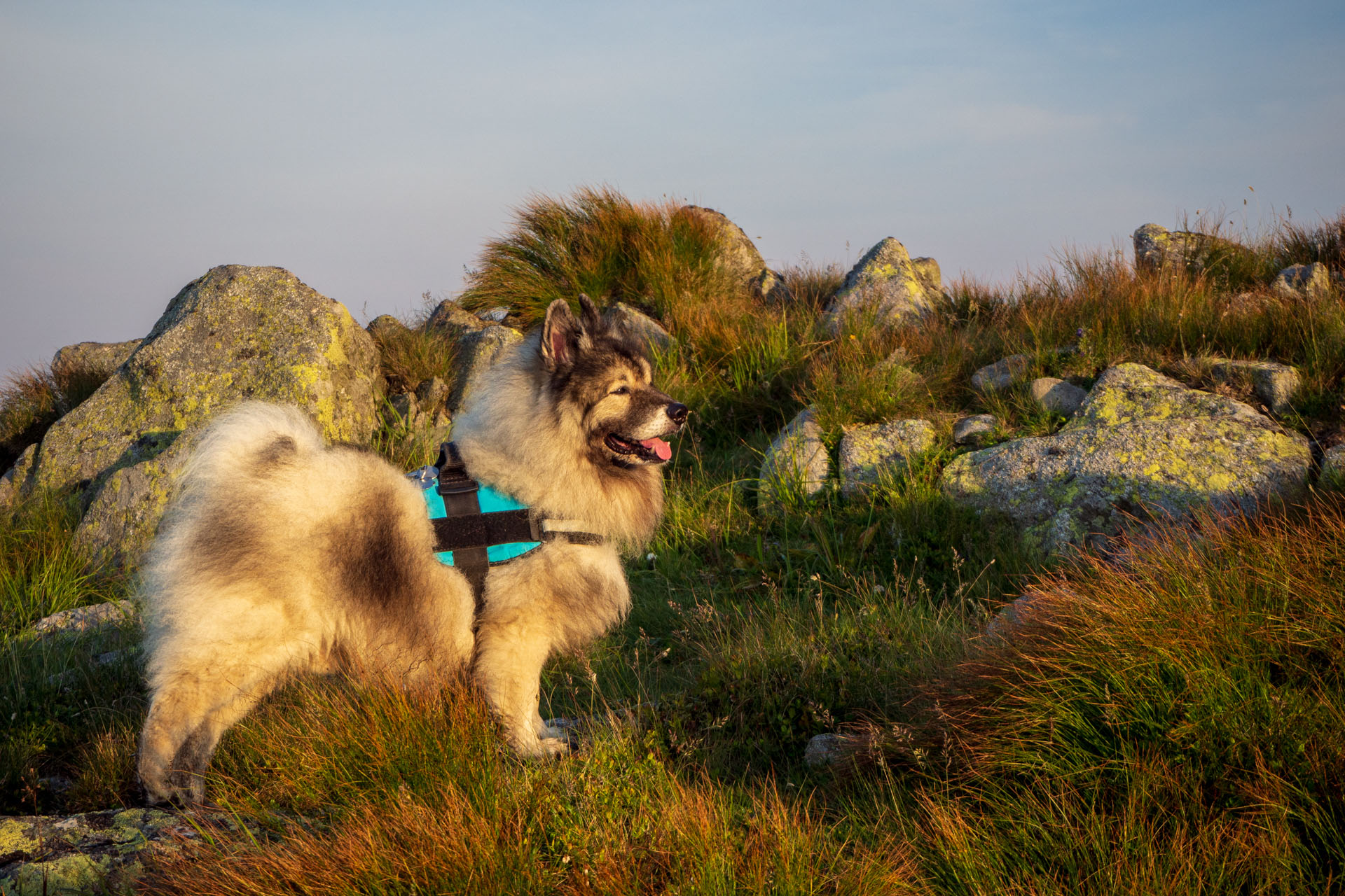 Z Ďurkovej cez Chabenec do Jasnej pod Chopkom (Nízke Tatry)