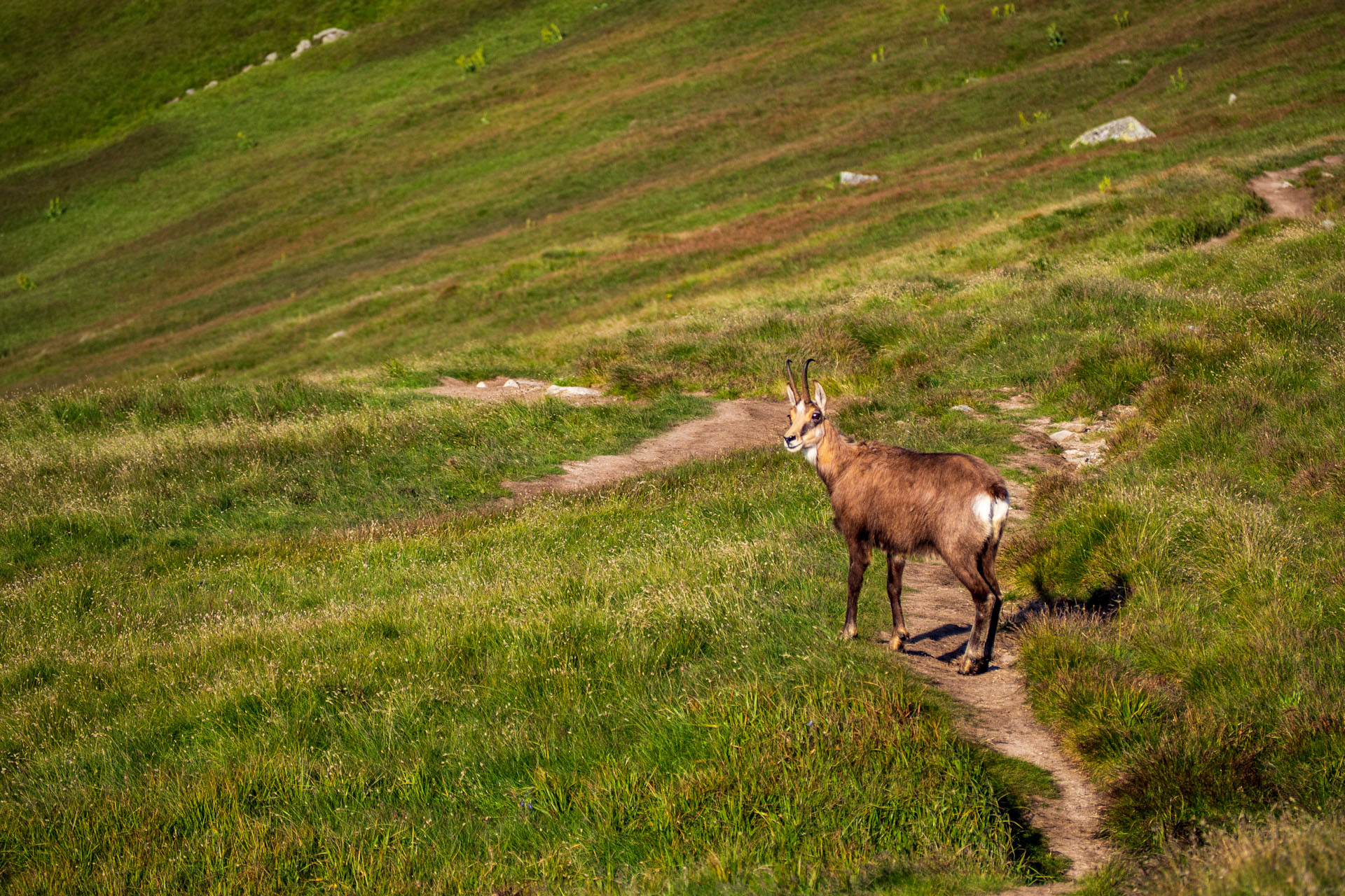 Z Ďurkovej cez Chabenec do Jasnej pod Chopkom (Nízke Tatry)