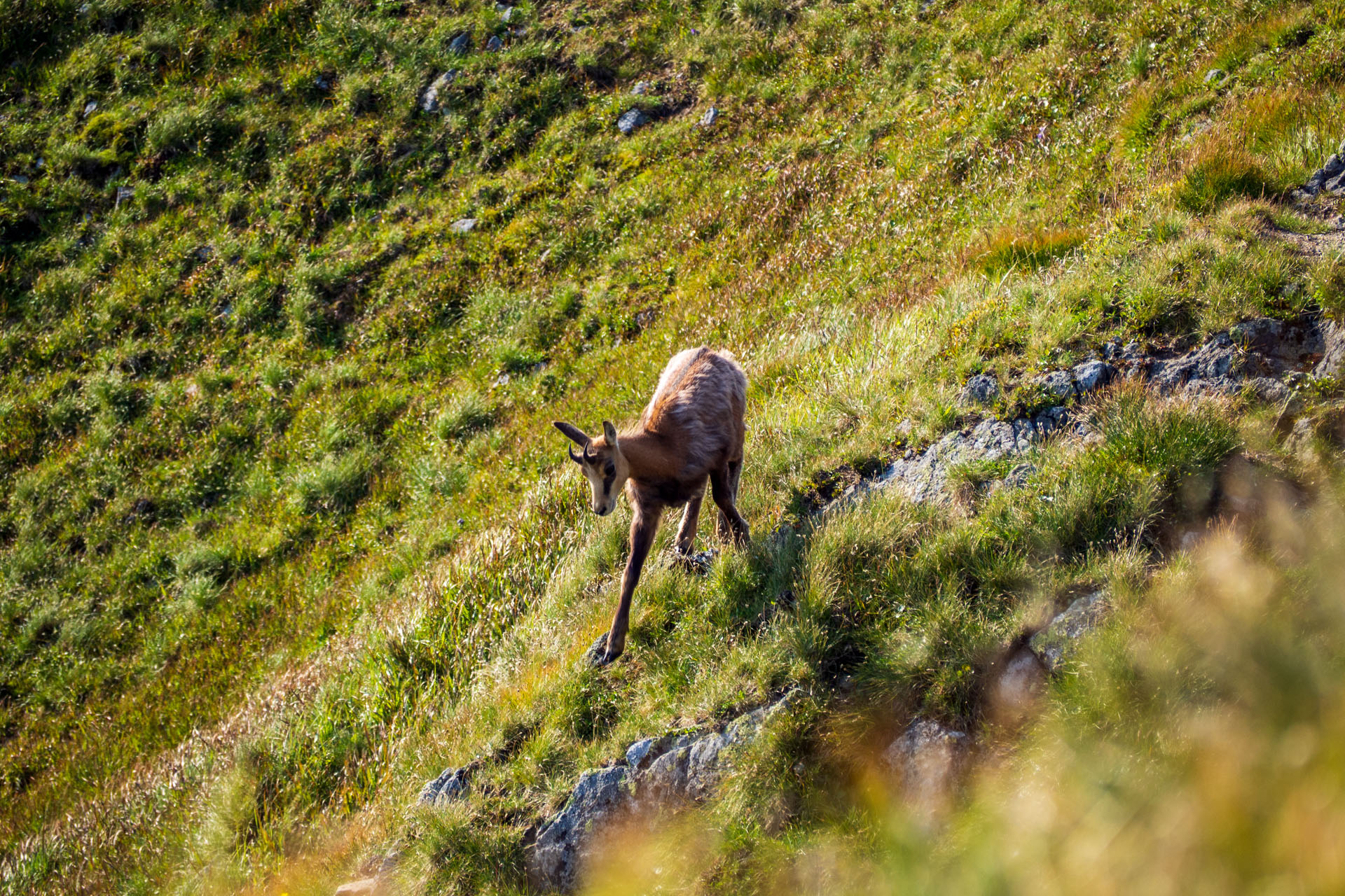 Z Ďurkovej cez Chabenec do Jasnej pod Chopkom (Nízke Tatry)