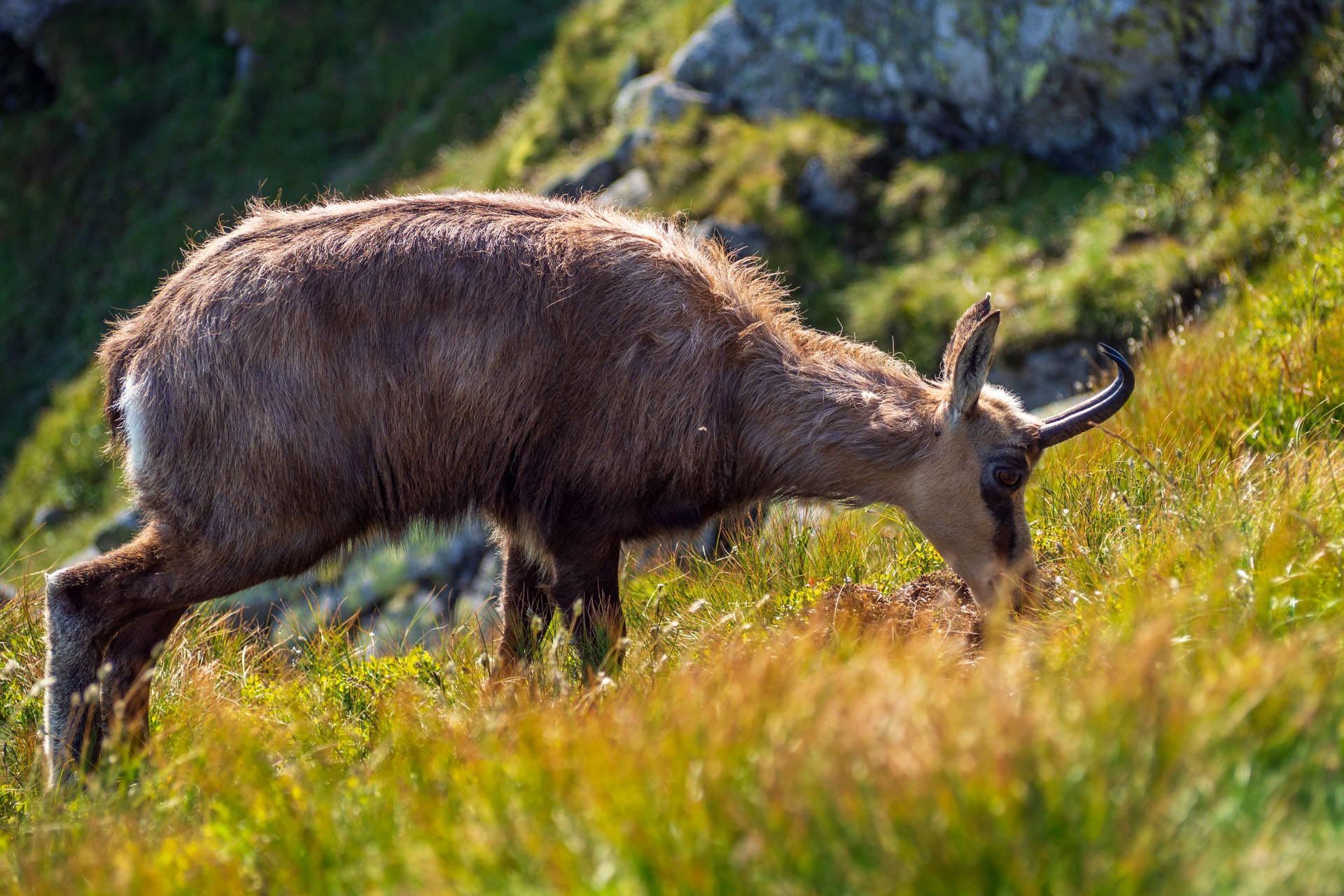 Z Ďurkovej cez Chabenec do Jasnej pod Chopkom (Nízke Tatry)