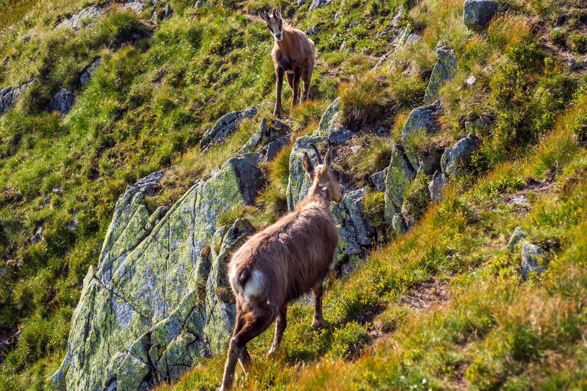 Z Ďurkovej cez Chabenec do Jasnej pod Chopkom (Nízke Tatry)