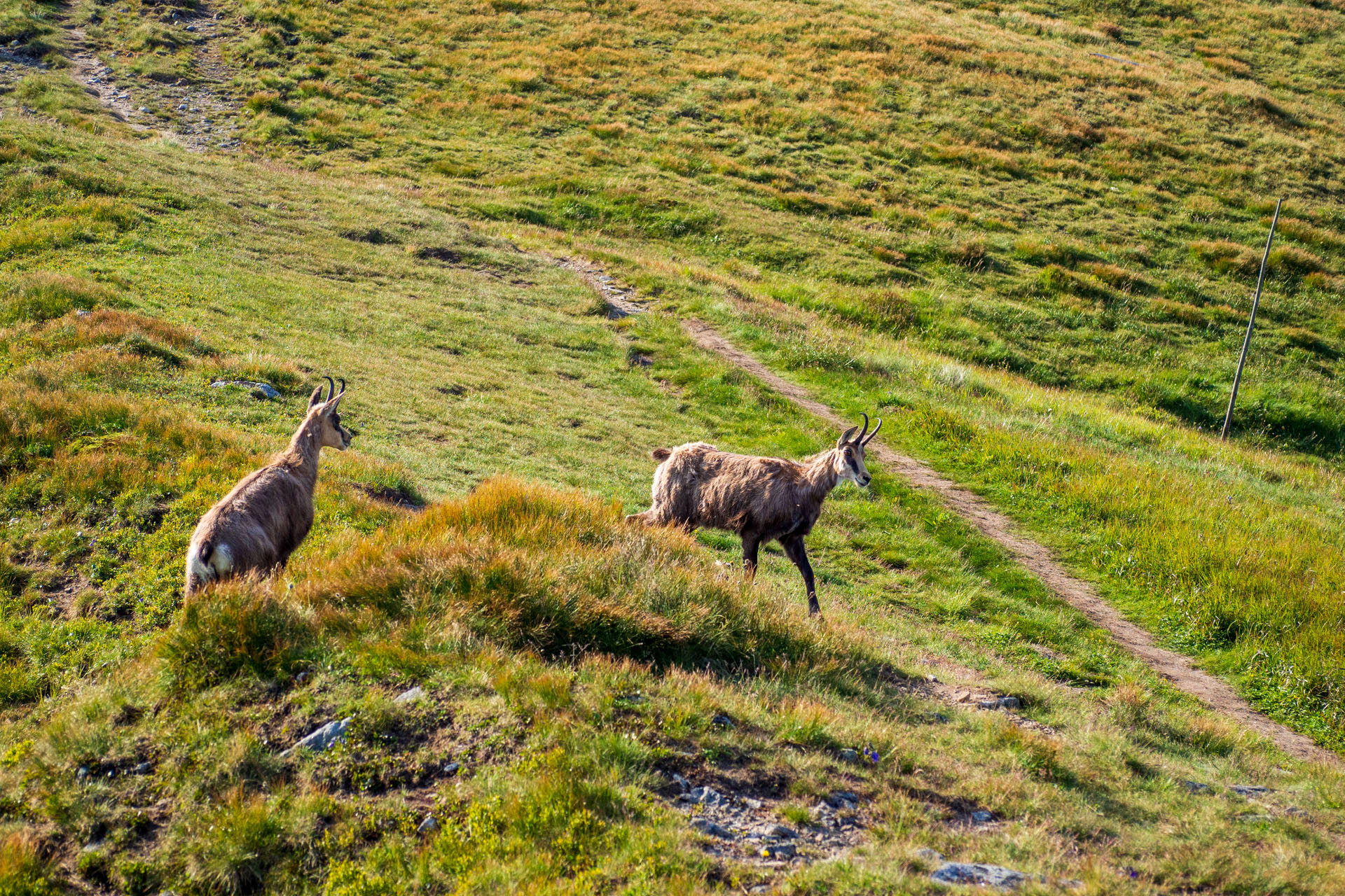 Z Ďurkovej cez Chabenec do Jasnej pod Chopkom (Nízke Tatry)