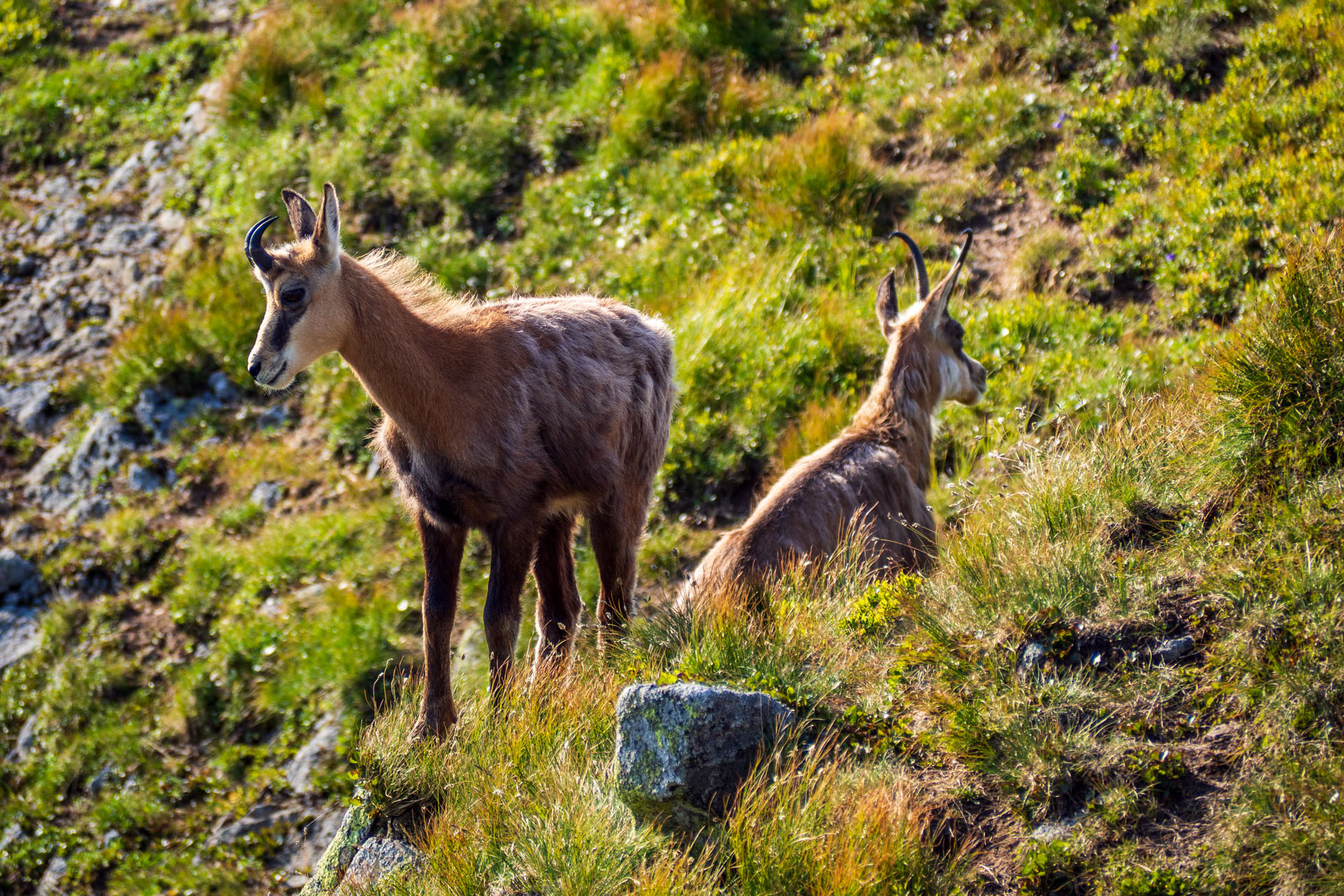 Z Ďurkovej cez Chabenec do Jasnej pod Chopkom (Nízke Tatry)