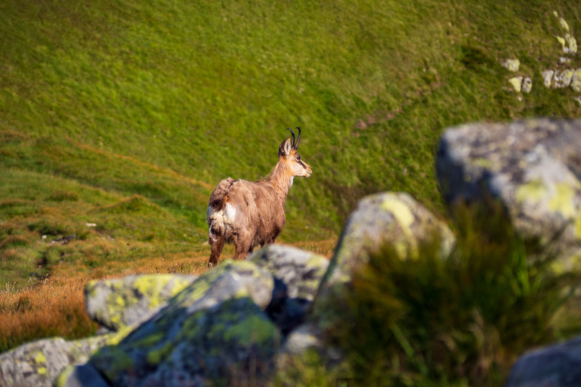 Z Ďurkovej cez Chabenec do Jasnej pod Chopkom (Nízke Tatry)