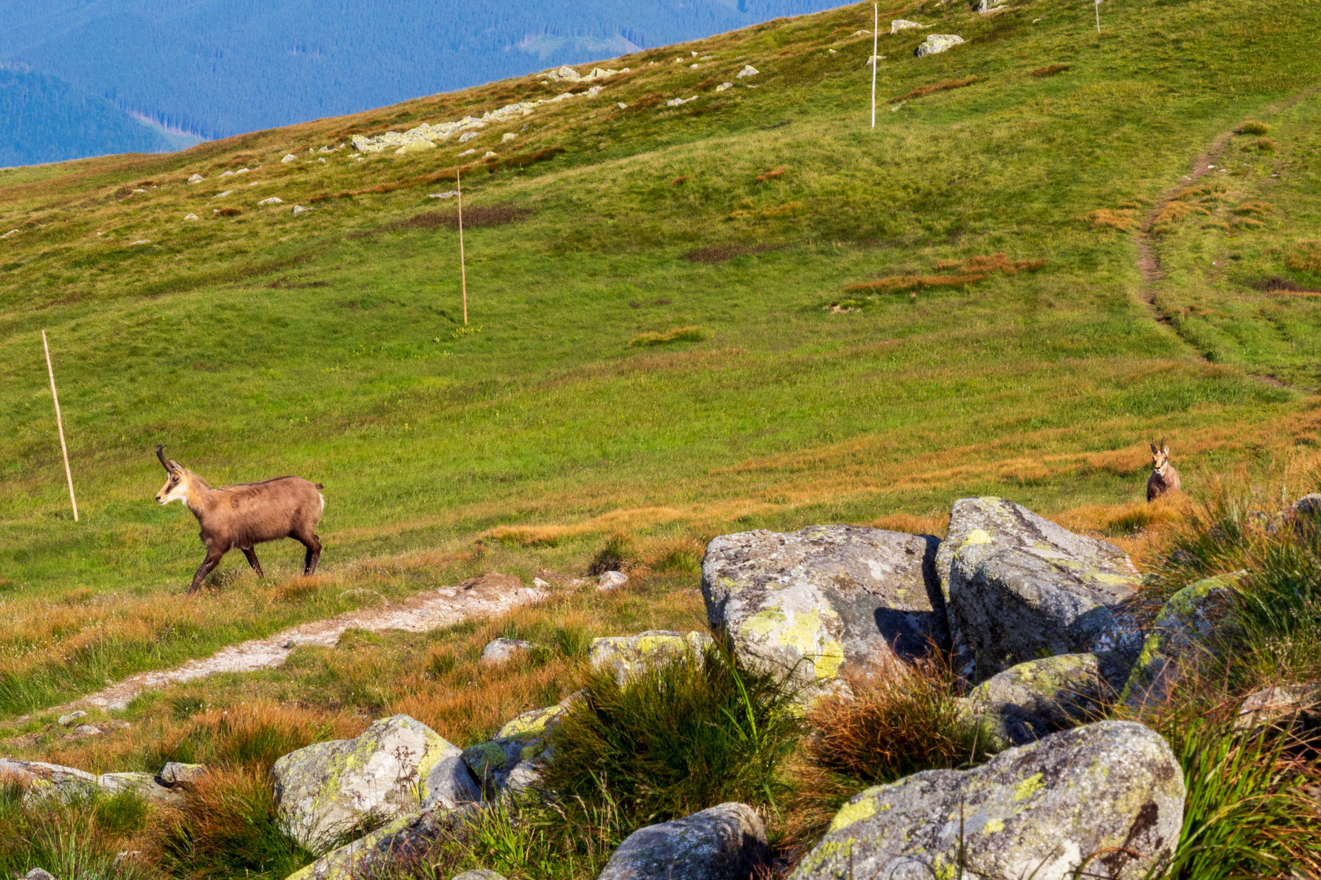 Z Ďurkovej cez Chabenec do Jasnej pod Chopkom (Nízke Tatry)