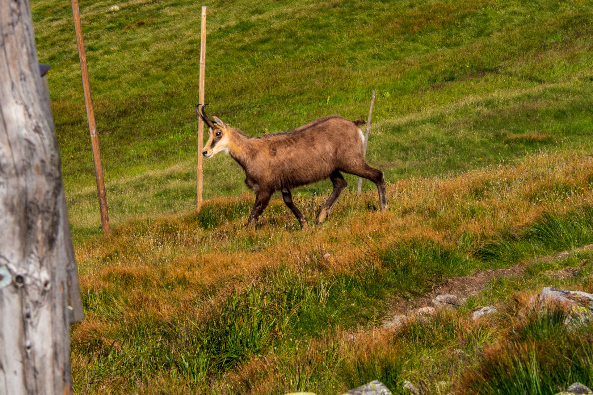 Z Ďurkovej cez Chabenec do Jasnej pod Chopkom (Nízke Tatry)