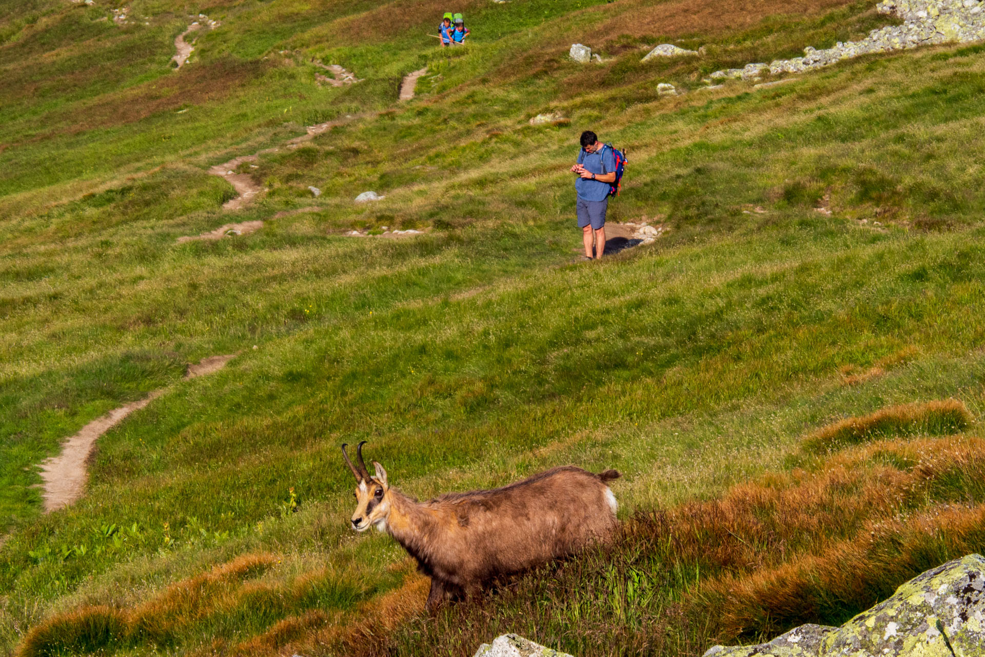 Z Ďurkovej cez Chabenec do Jasnej pod Chopkom (Nízke Tatry)