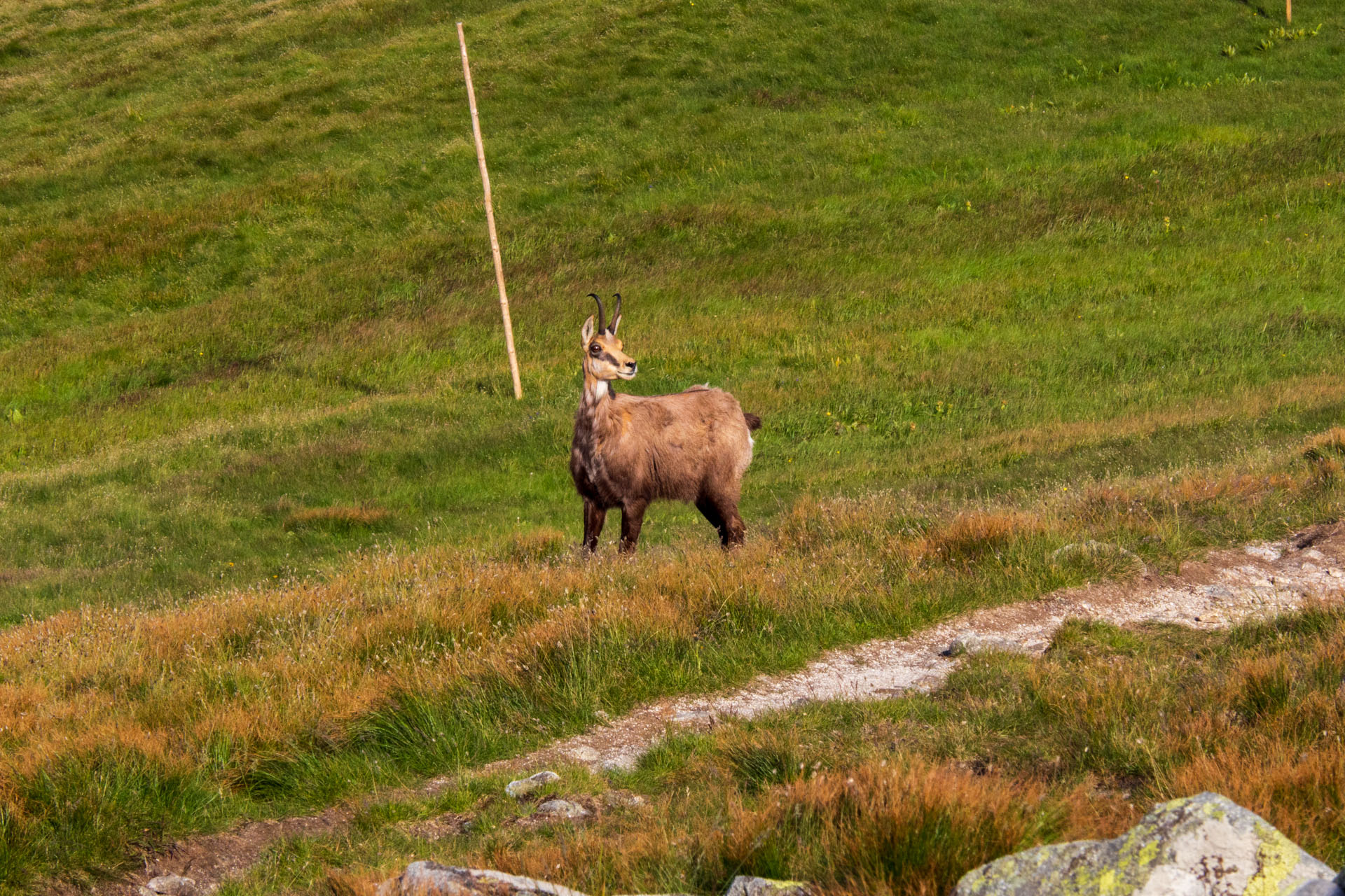 Z Ďurkovej cez Chabenec do Jasnej pod Chopkom (Nízke Tatry)