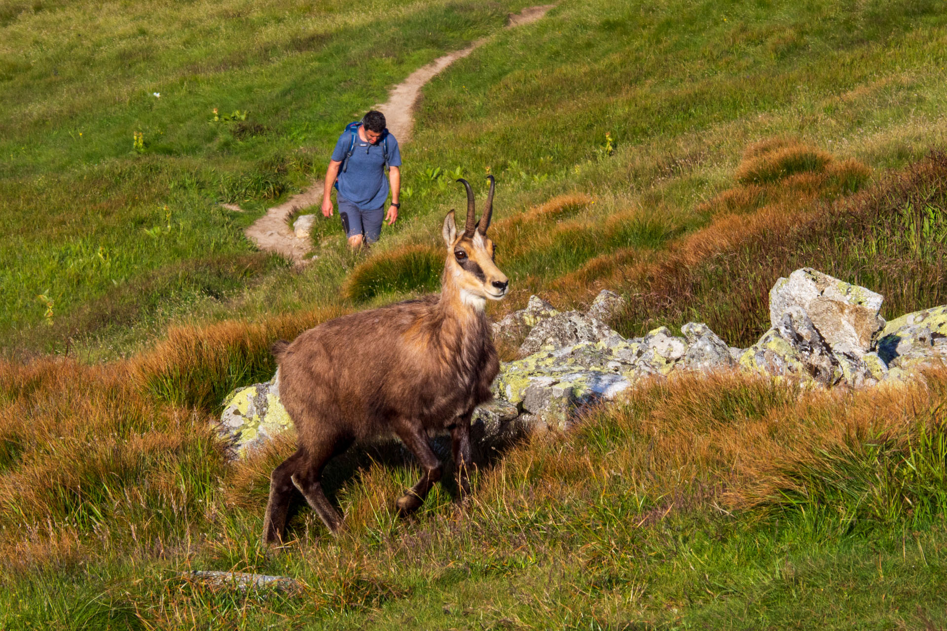 Z Ďurkovej cez Chabenec do Jasnej pod Chopkom (Nízke Tatry)