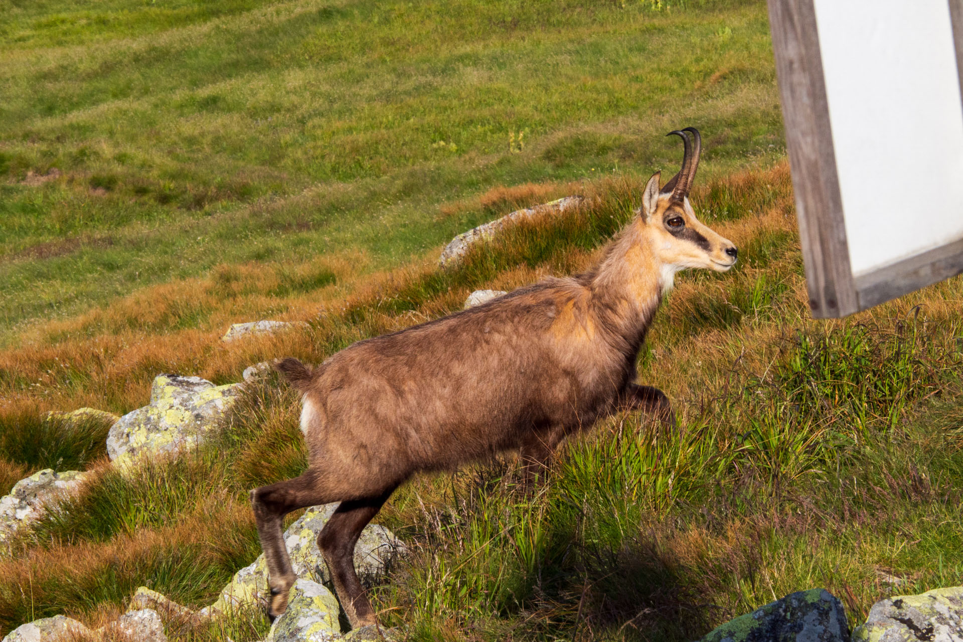 Z Ďurkovej cez Chabenec do Jasnej pod Chopkom (Nízke Tatry)