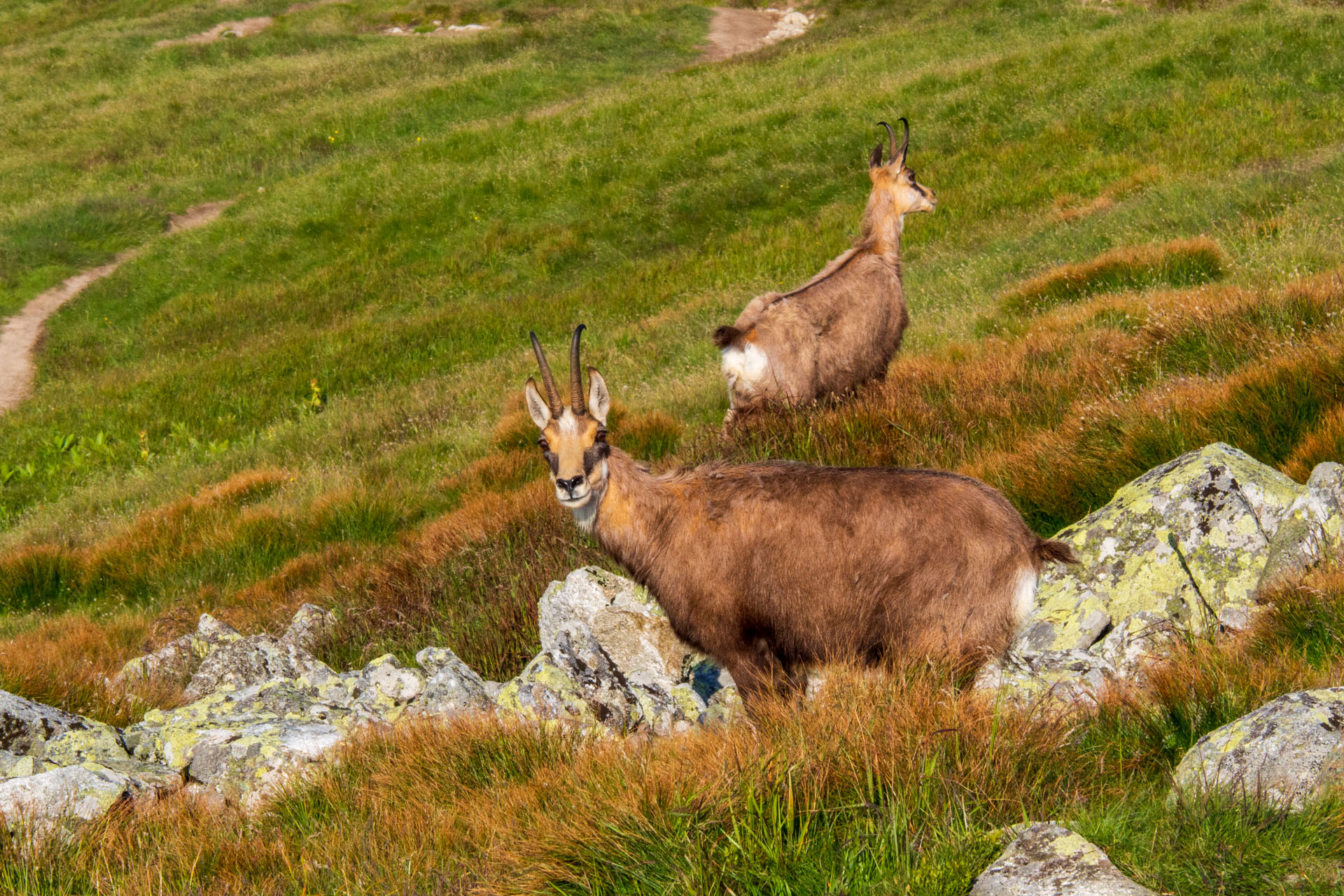 Z Ďurkovej cez Chabenec do Jasnej pod Chopkom (Nízke Tatry)