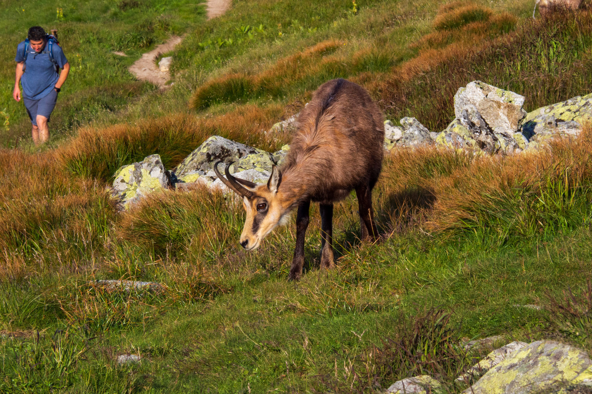 Z Ďurkovej cez Chabenec do Jasnej pod Chopkom (Nízke Tatry)