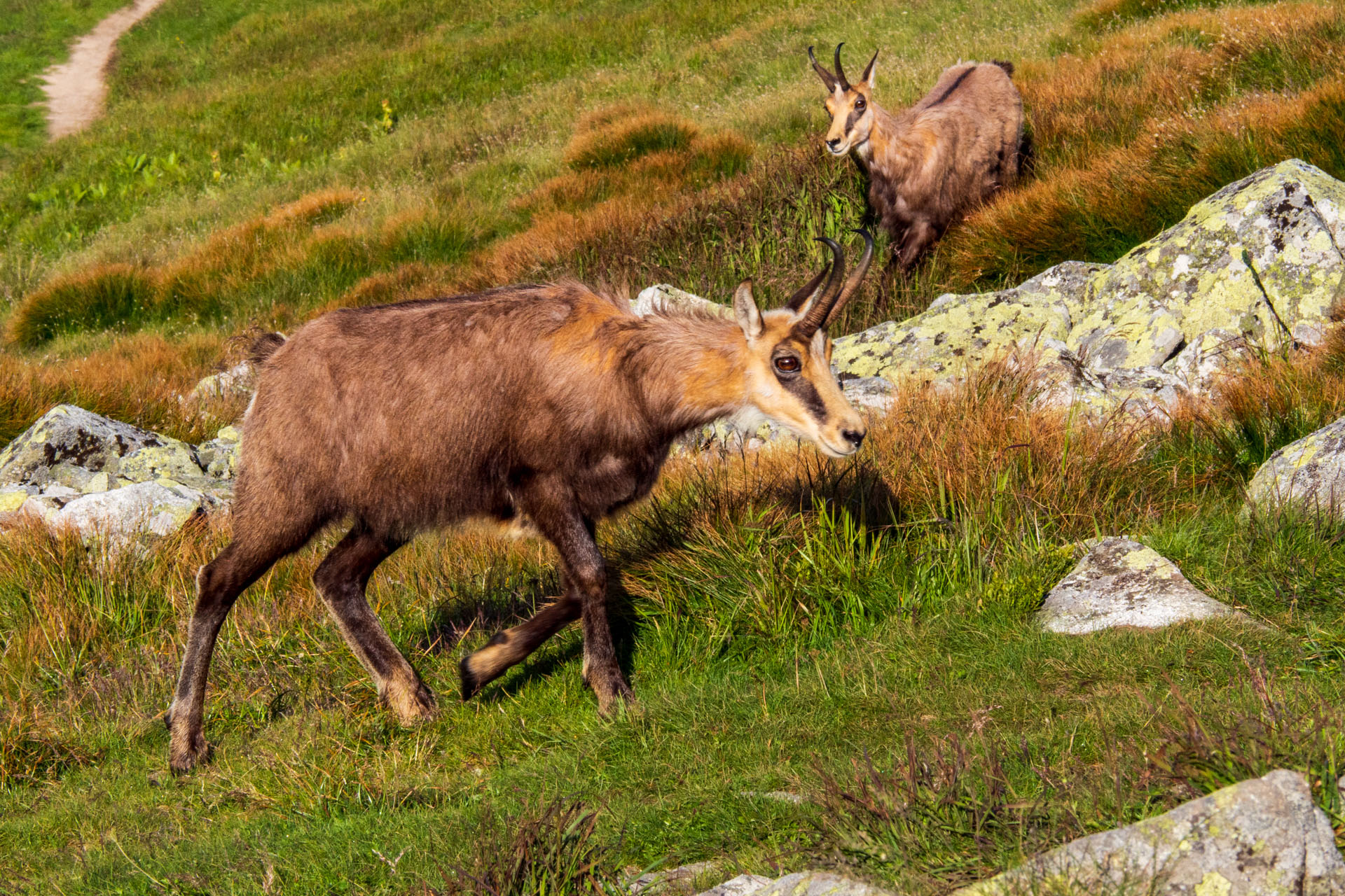 Z Ďurkovej cez Chabenec do Jasnej pod Chopkom (Nízke Tatry)