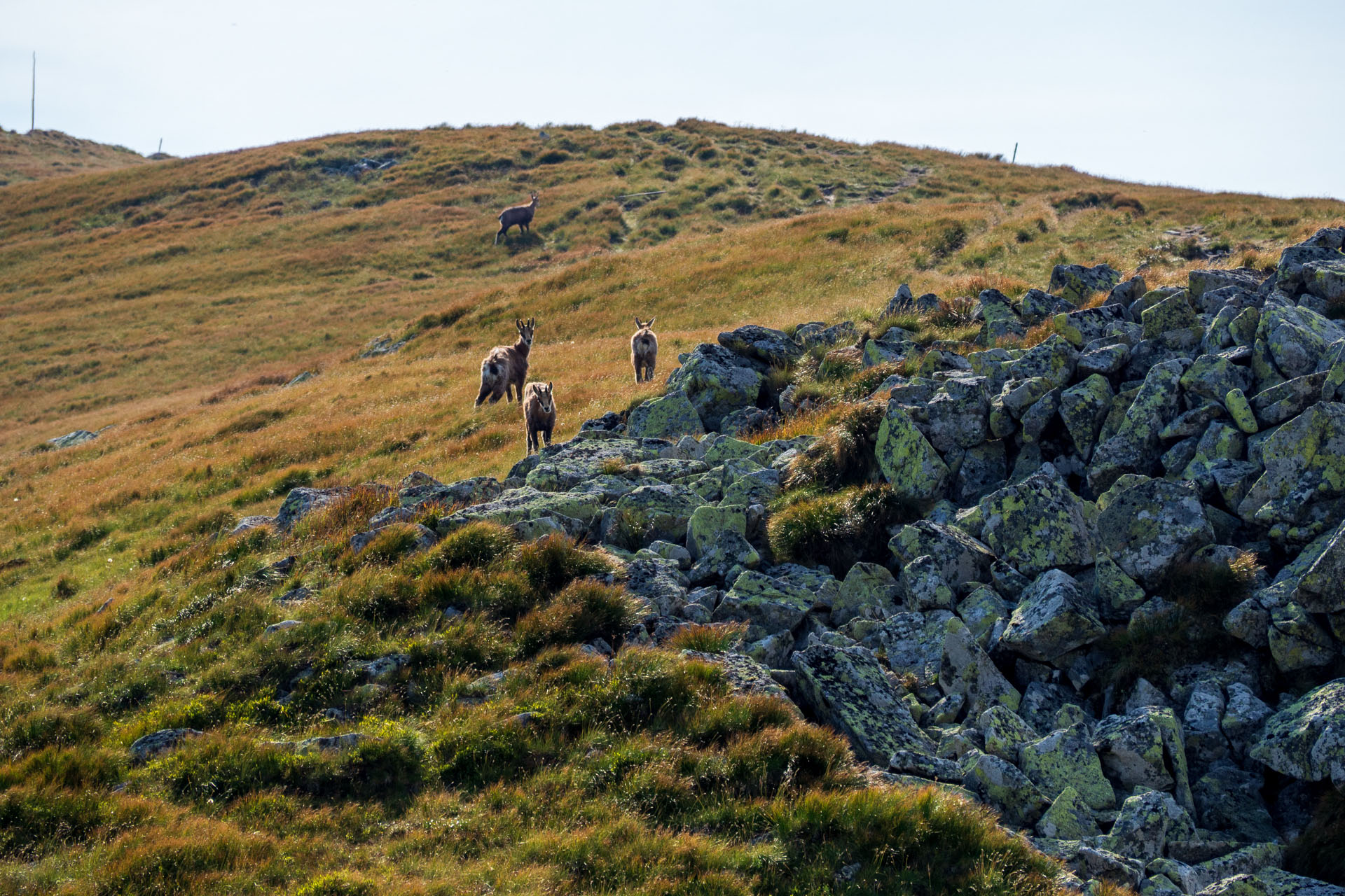 Z Ďurkovej cez Chabenec do Jasnej pod Chopkom (Nízke Tatry)