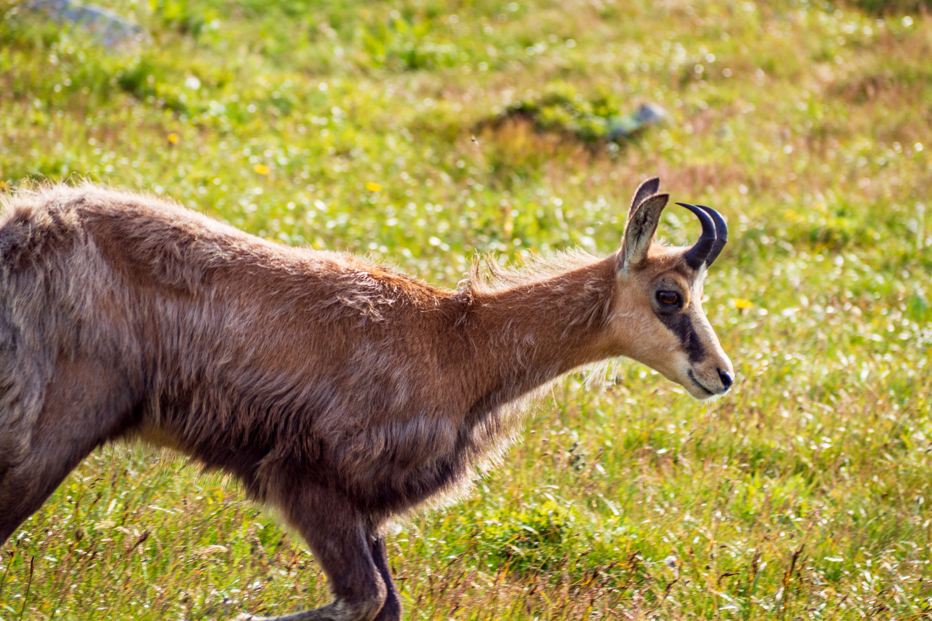 Z Ďurkovej cez Chabenec do Jasnej pod Chopkom (Nízke Tatry)