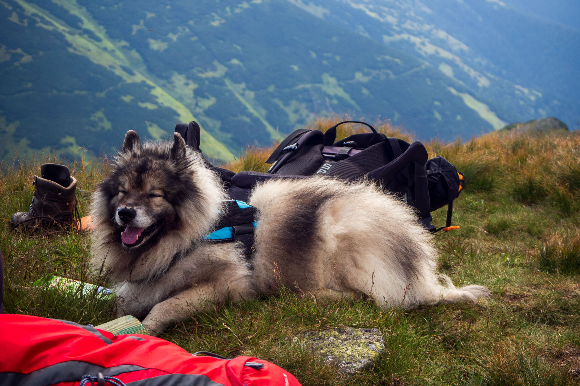 Z Ďurkovej cez Chabenec do Jasnej pod Chopkom (Nízke Tatry)