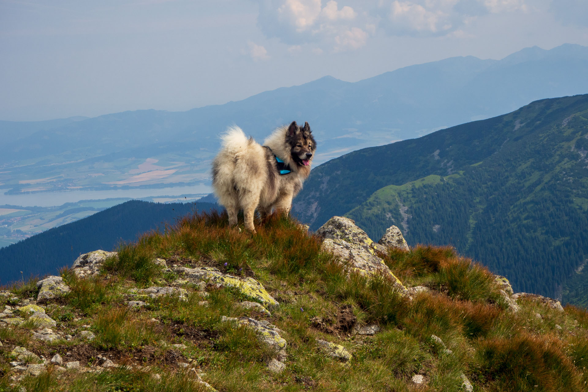 Z Ďurkovej cez Chabenec do Jasnej pod Chopkom (Nízke Tatry)