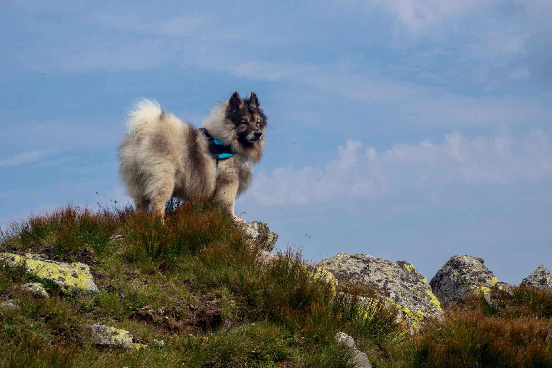 Z Ďurkovej cez Chabenec do Jasnej pod Chopkom (Nízke Tatry)