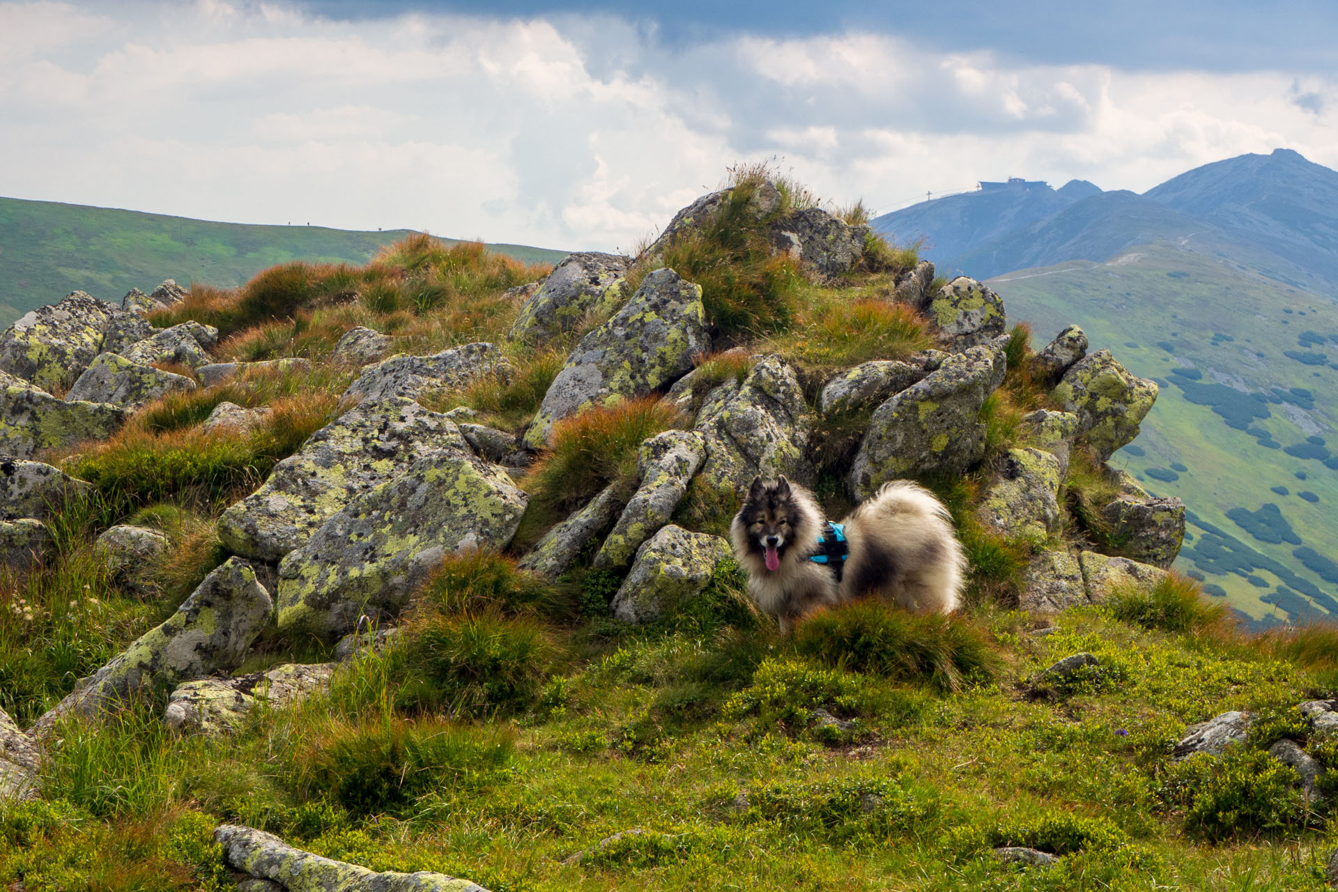 Z Ďurkovej cez Chabenec do Jasnej pod Chopkom (Nízke Tatry)