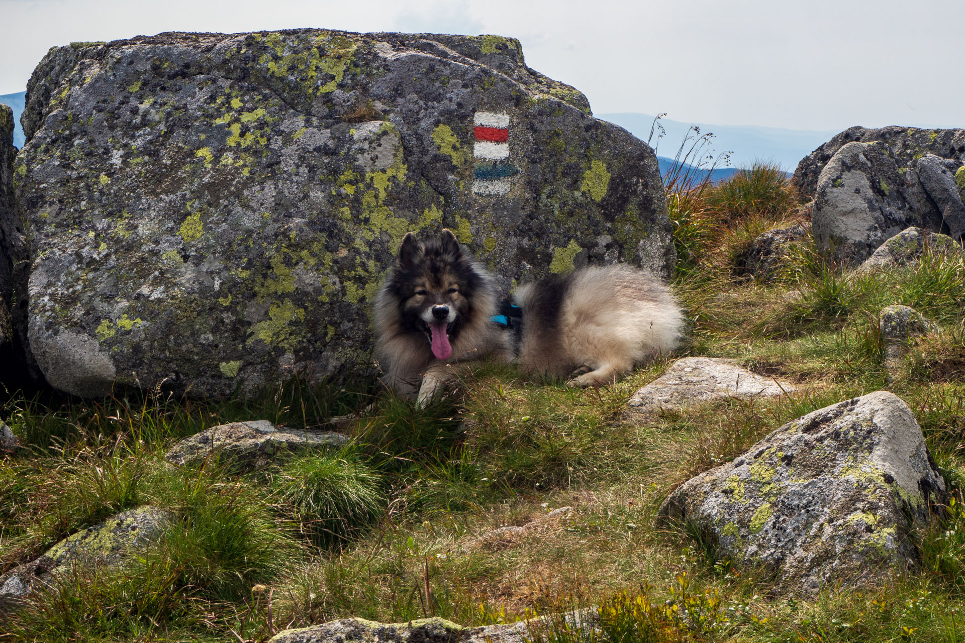 Z Ďurkovej cez Chabenec do Jasnej pod Chopkom (Nízke Tatry)