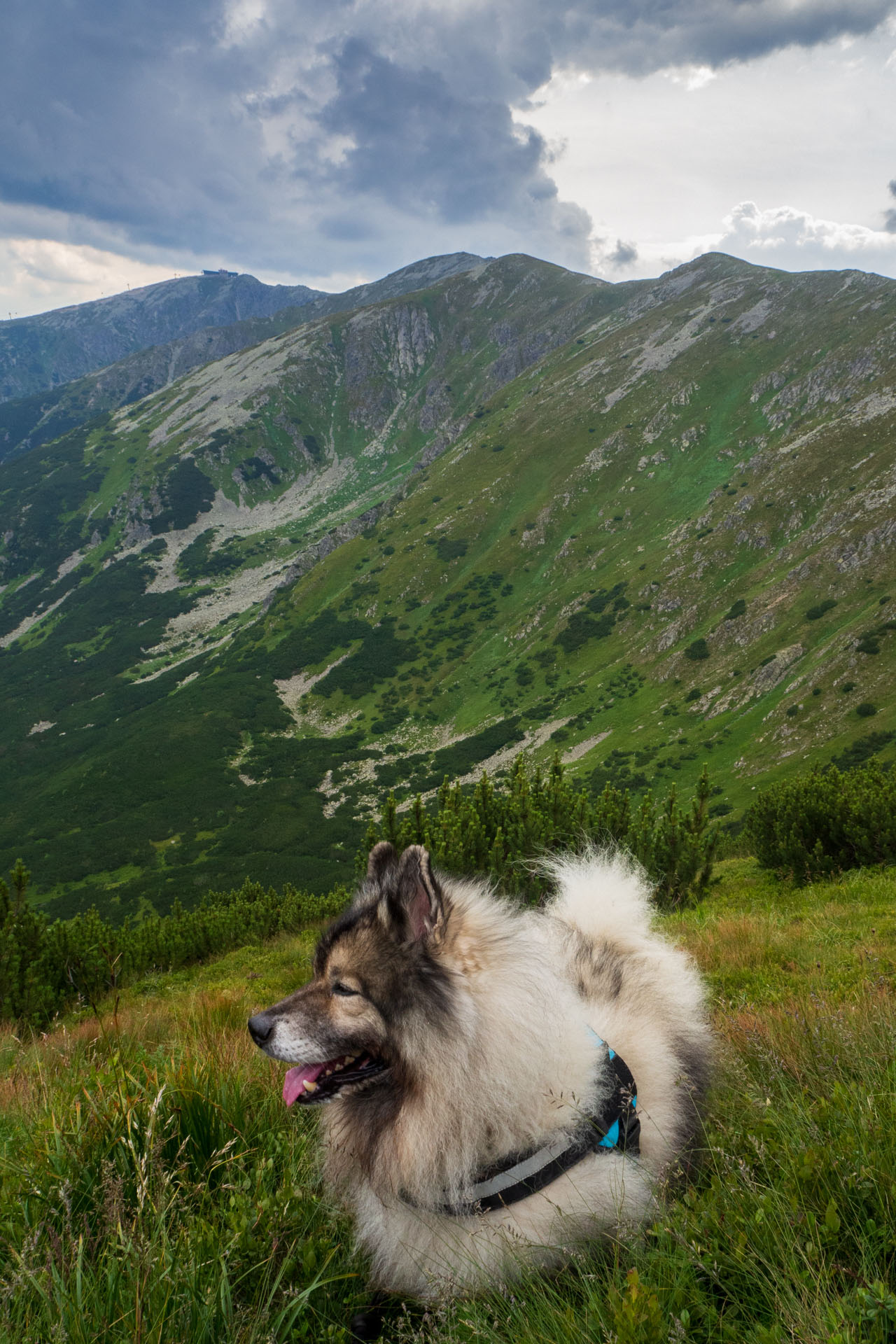 Z Ďurkovej cez Chabenec do Jasnej pod Chopkom (Nízke Tatry)