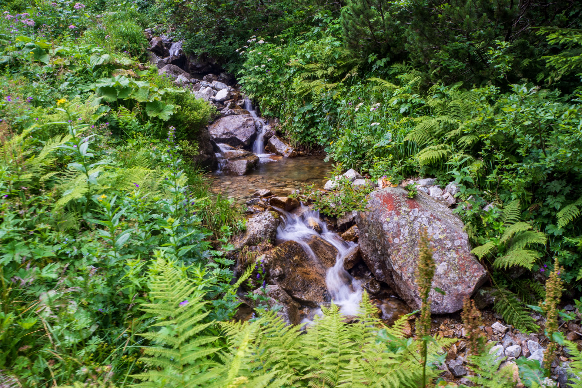 Z Ďurkovej cez Chabenec do Jasnej pod Chopkom (Nízke Tatry)