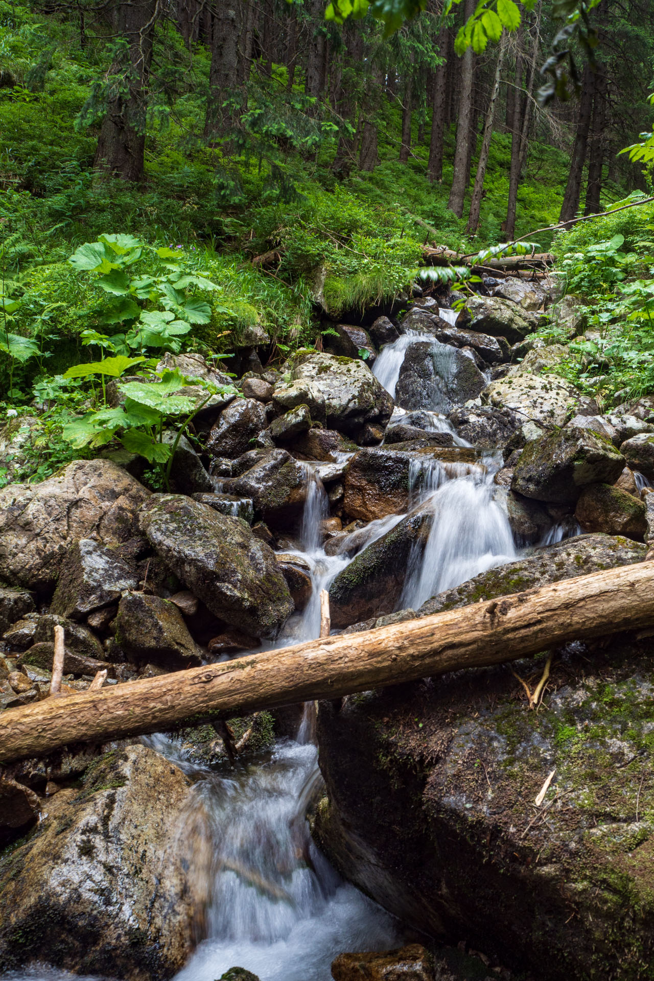 Z Ďurkovej cez Chabenec do Jasnej pod Chopkom (Nízke Tatry)