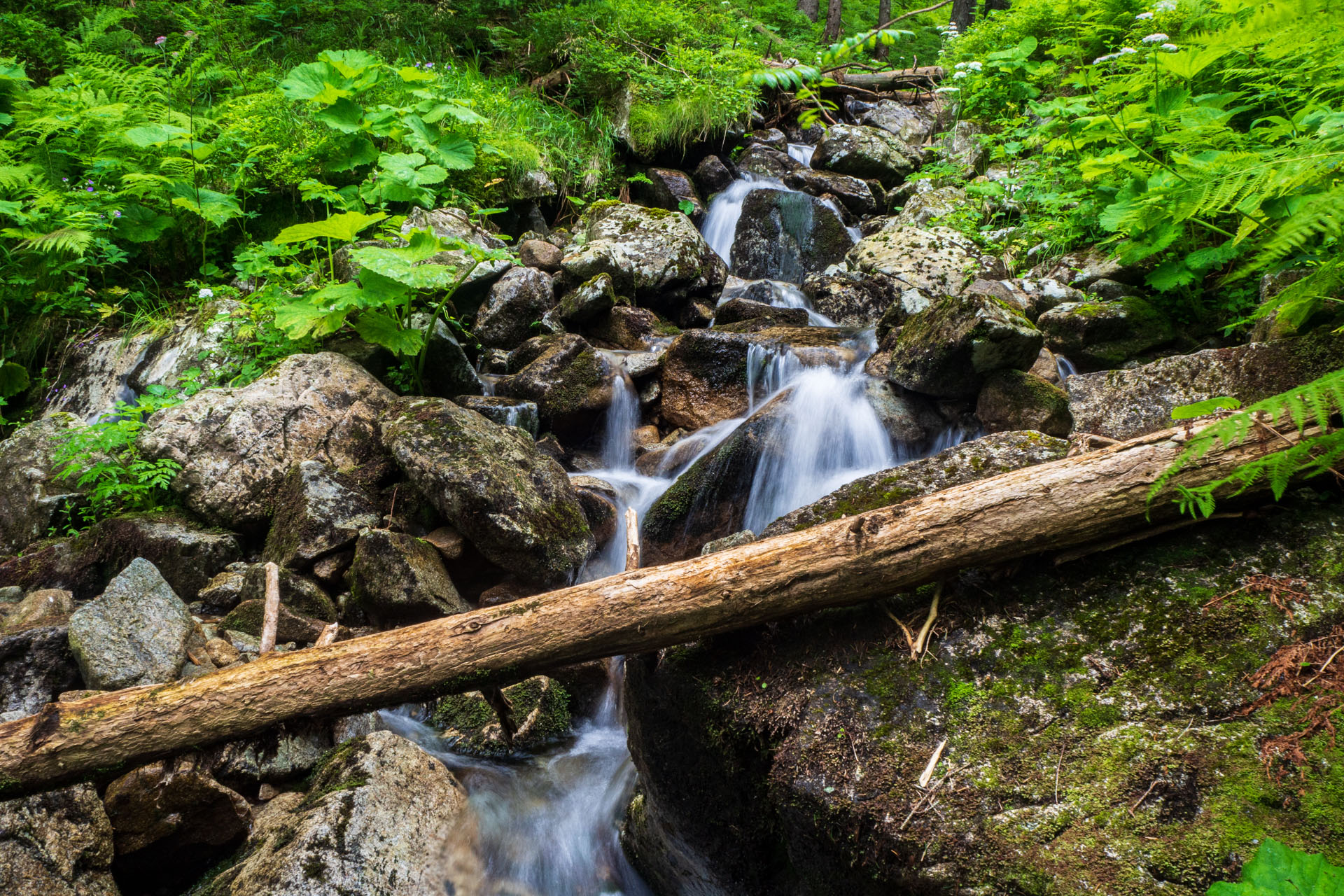 Z Ďurkovej cez Chabenec do Jasnej pod Chopkom (Nízke Tatry)