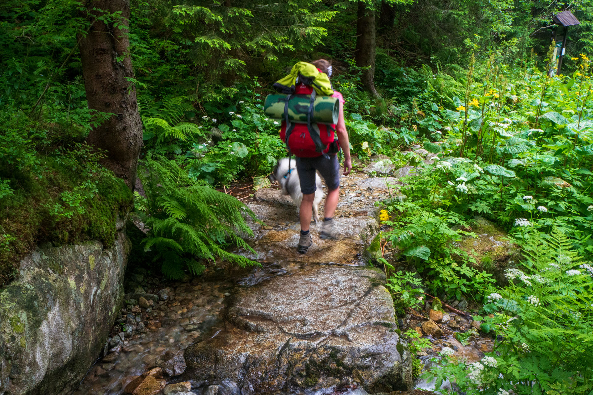 Z Ďurkovej cez Chabenec do Jasnej pod Chopkom (Nízke Tatry)