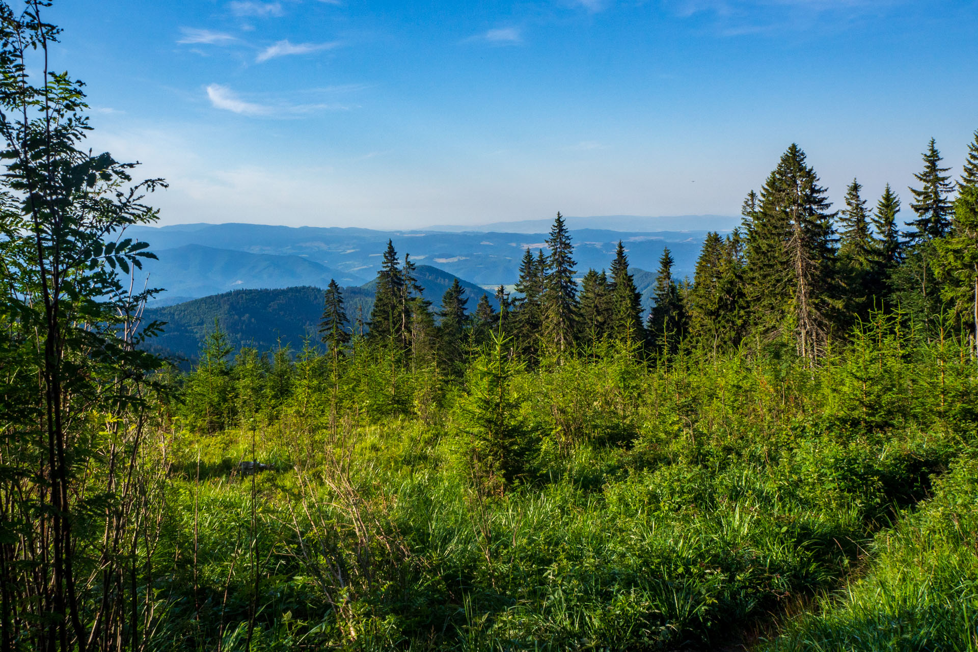 Z Hiadeľského sedla na Ďurkovú (Nízke Tatry)