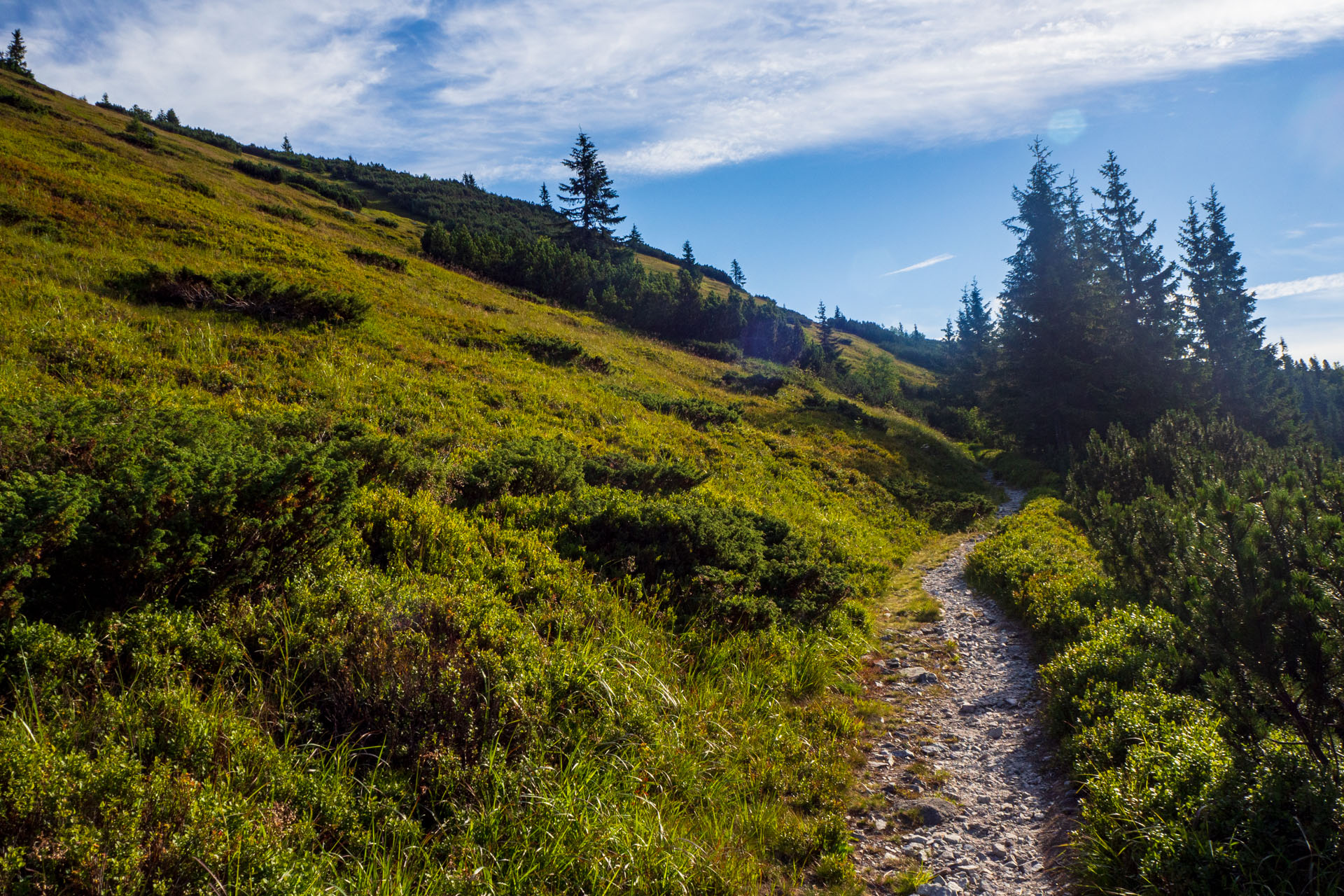 Z Hiadeľského sedla na Ďurkovú (Nízke Tatry)