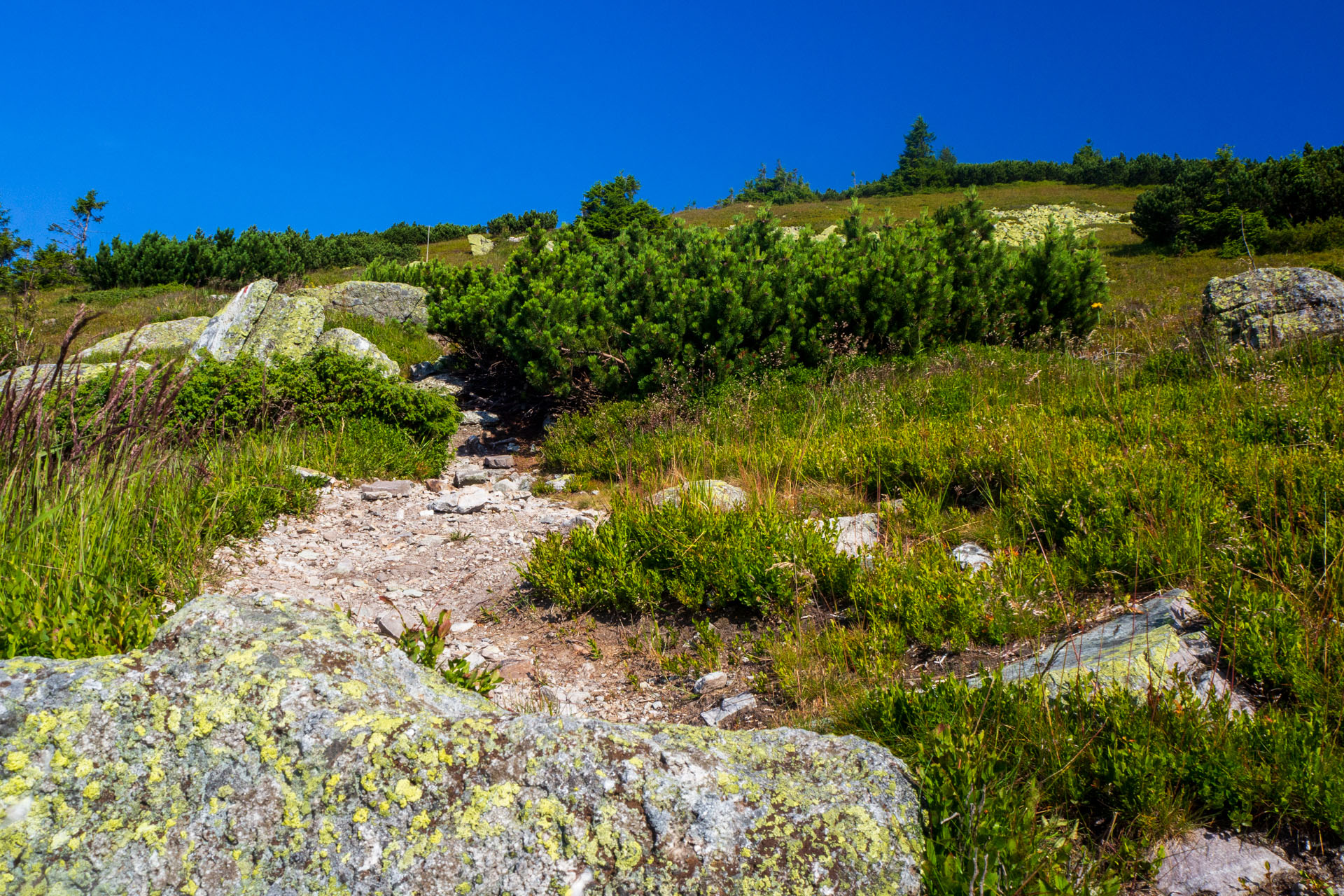 Z Hiadeľského sedla na Ďurkovú (Nízke Tatry)