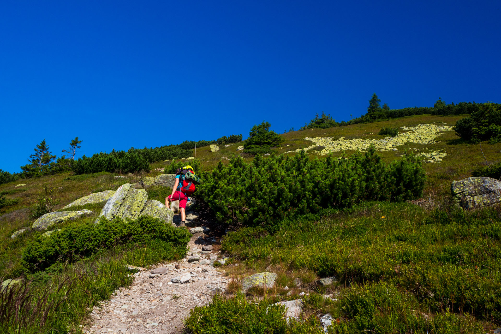 Z Hiadeľského sedla na Ďurkovú (Nízke Tatry)