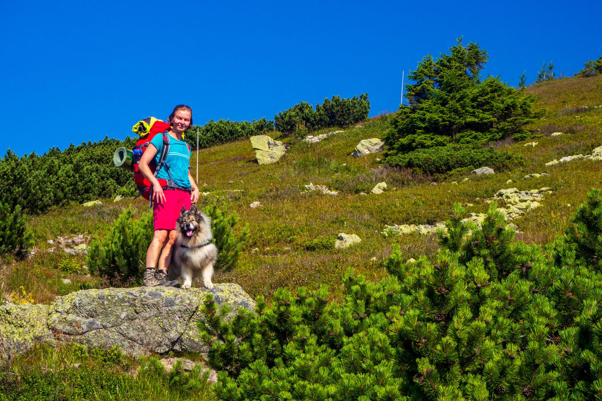 Z Hiadeľského sedla na Ďurkovú (Nízke Tatry)