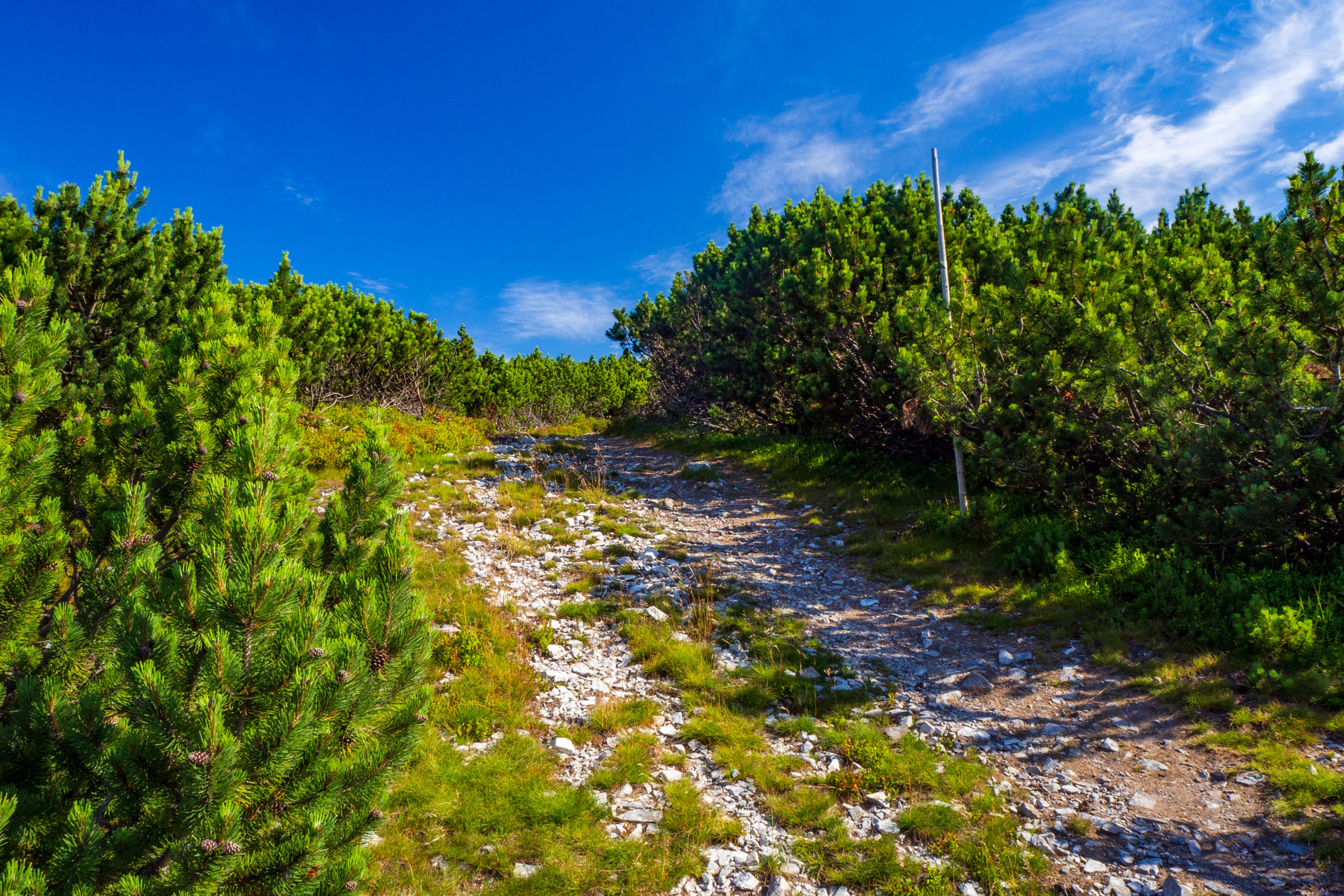 Z Hiadeľského sedla na Ďurkovú (Nízke Tatry)