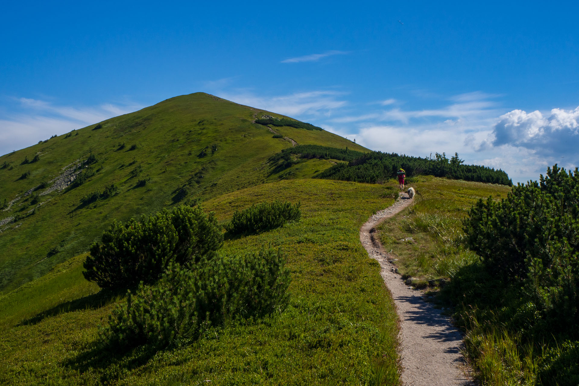 Z Hiadeľského sedla na Ďurkovú (Nízke Tatry)