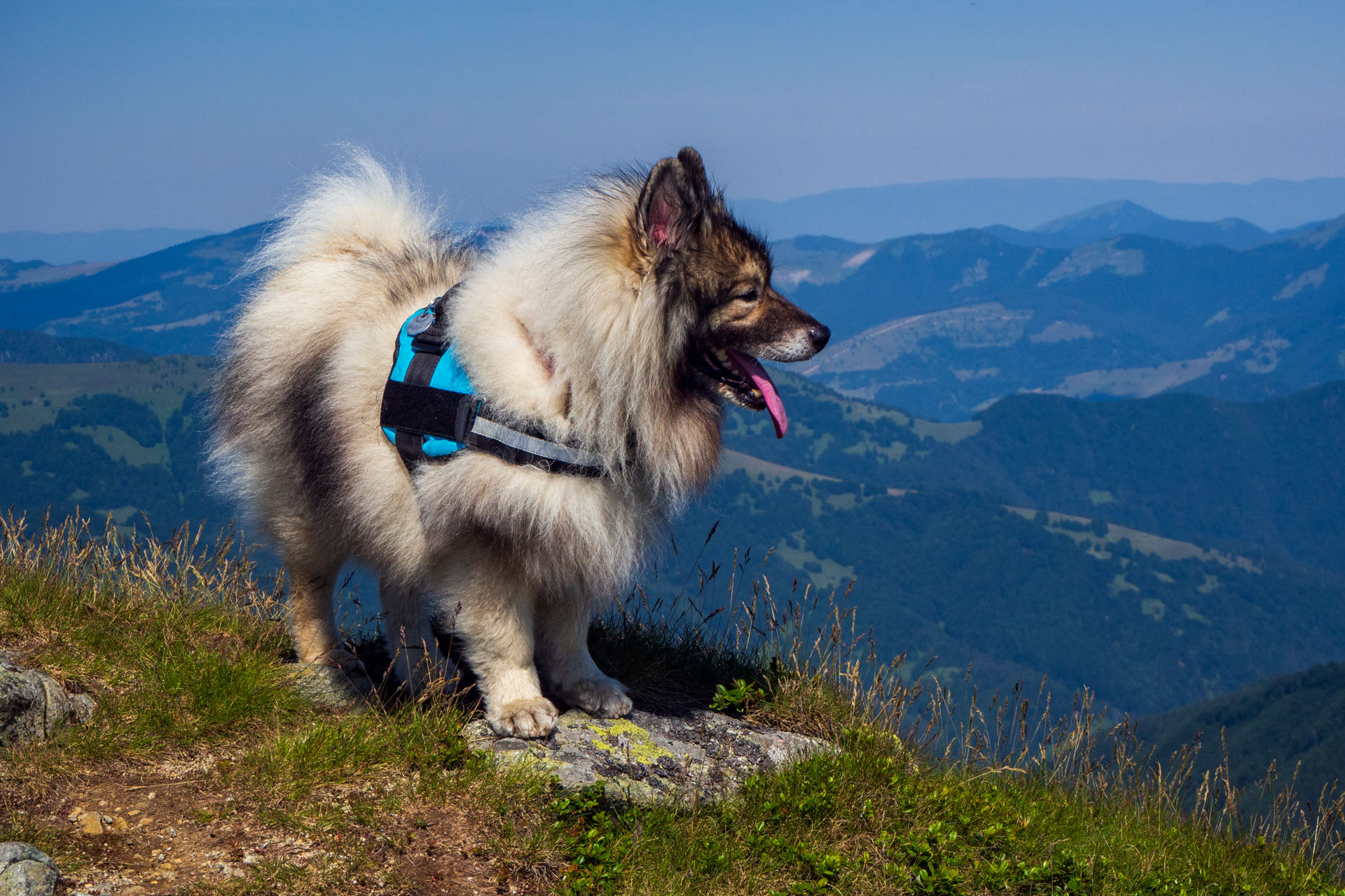 Z Hiadeľského sedla na Ďurkovú (Nízke Tatry)