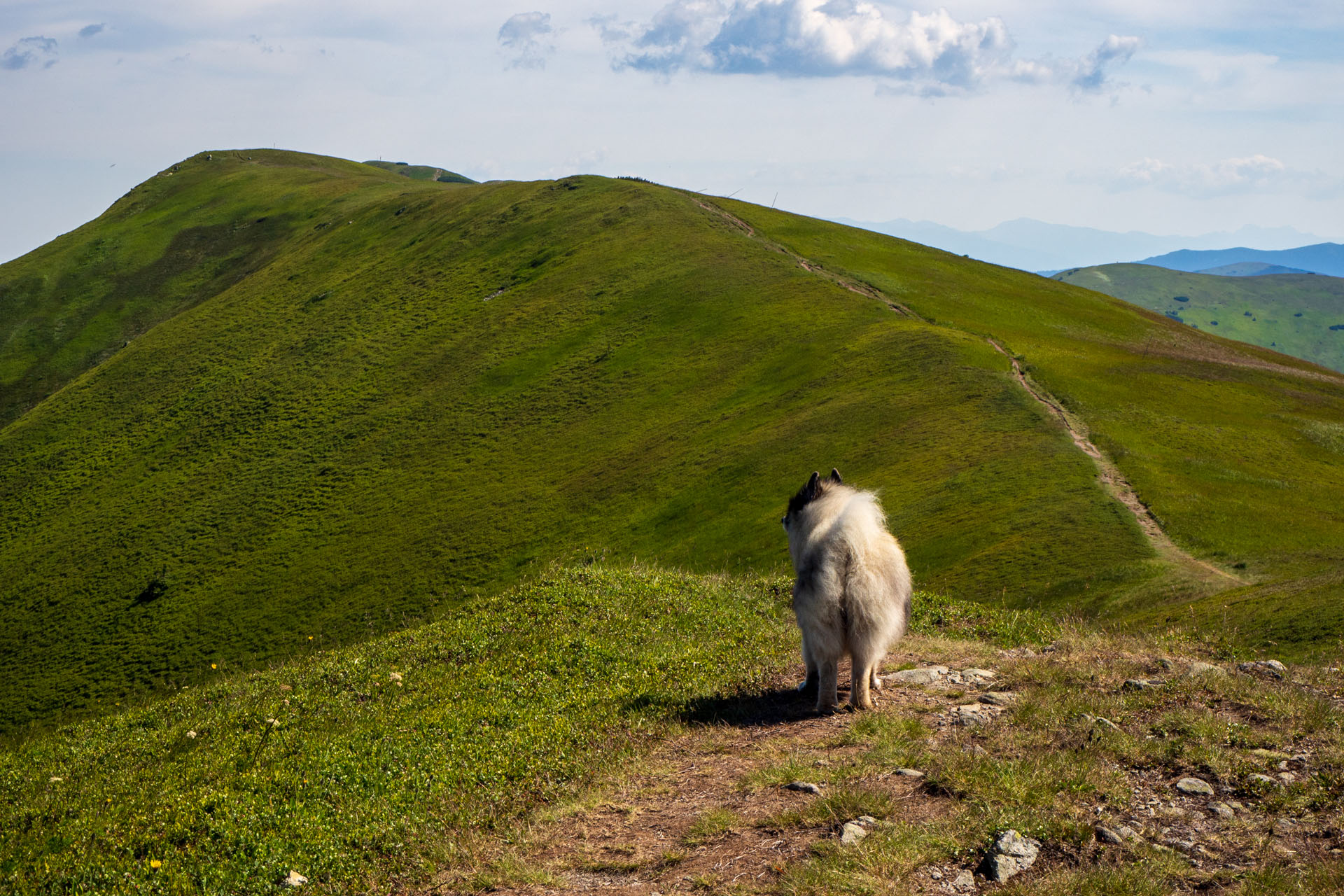 Z Hiadeľského sedla na Ďurkovú (Nízke Tatry)