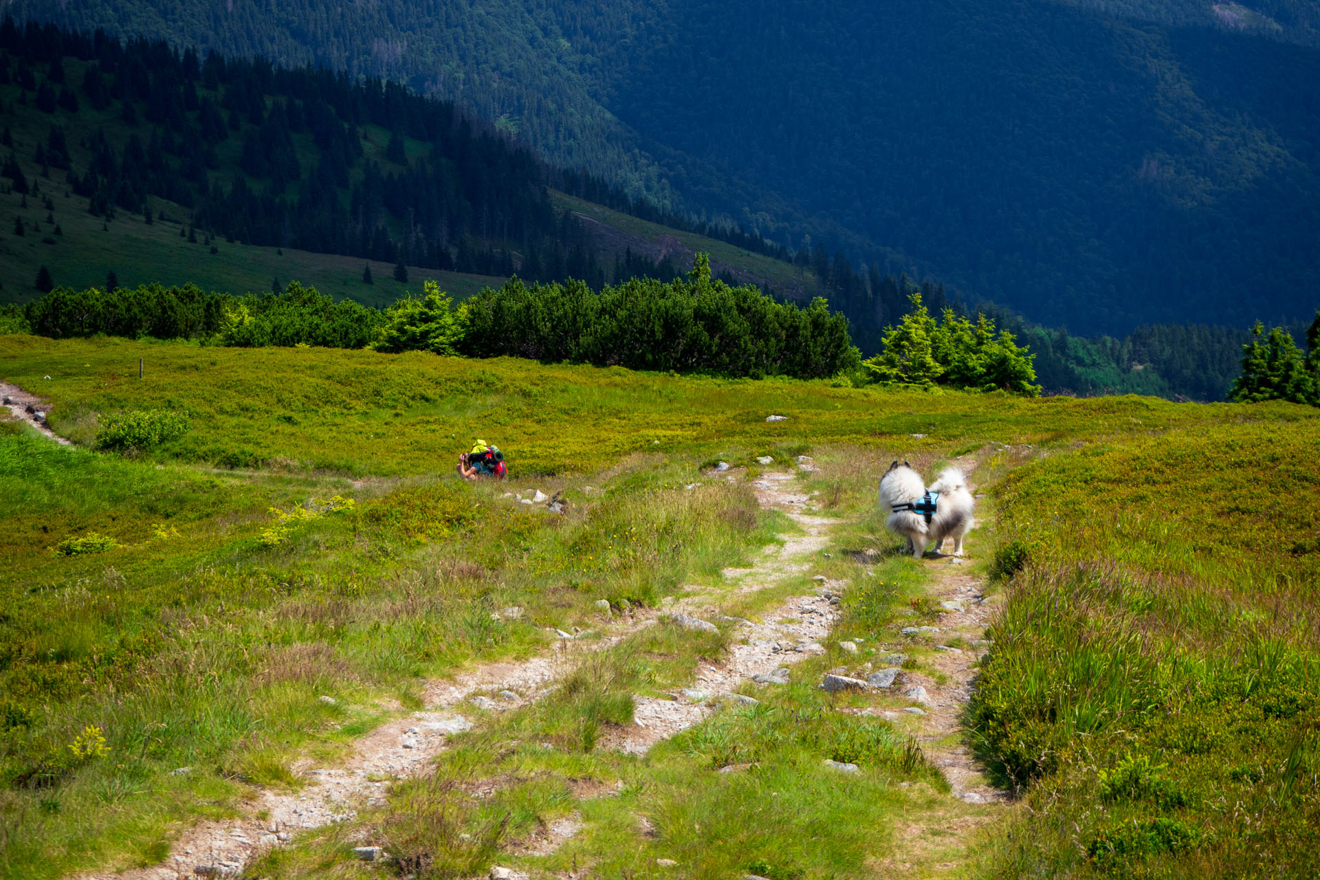 Z Hiadeľského sedla na Ďurkovú (Nízke Tatry)