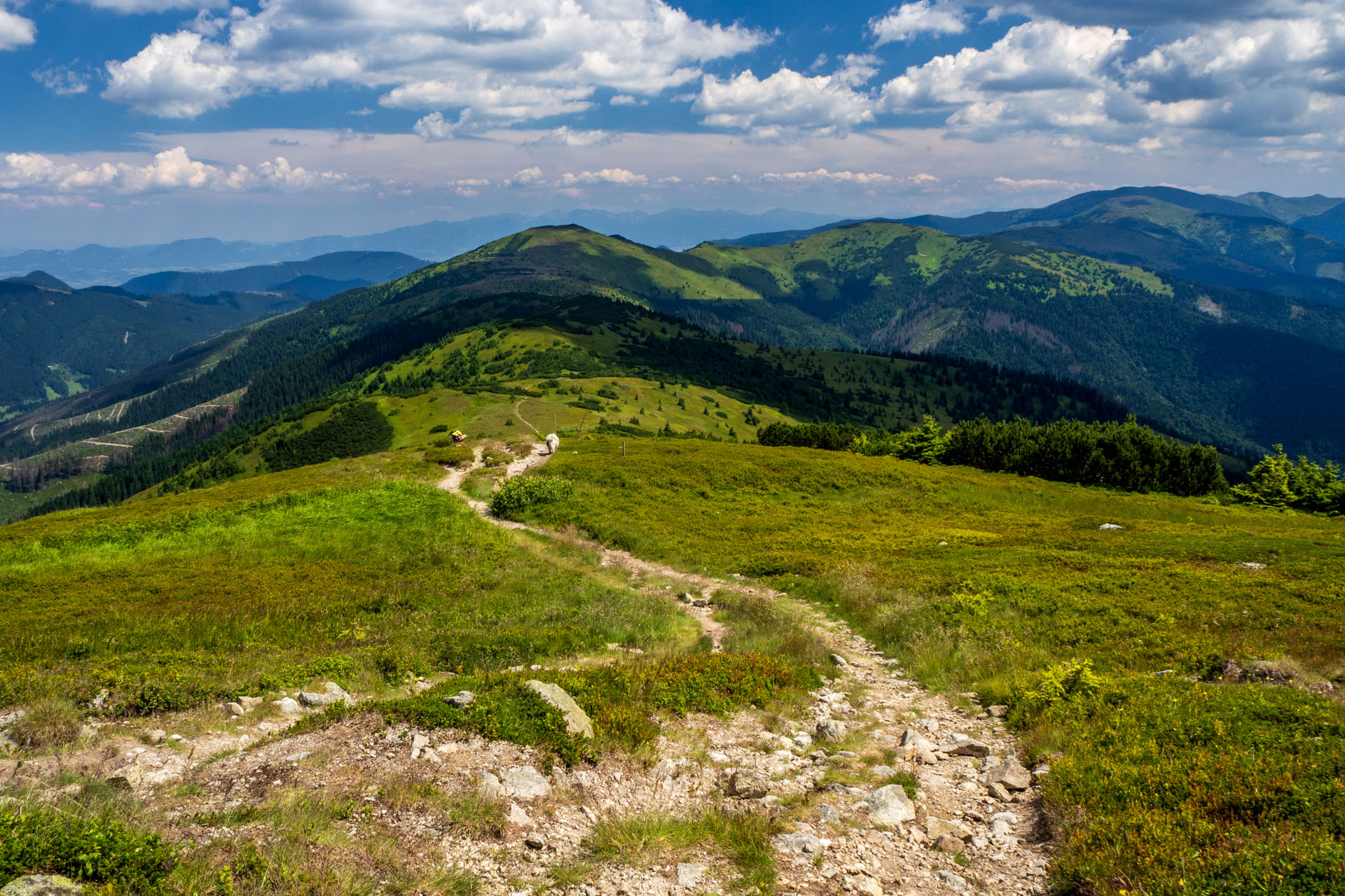 Z Hiadeľského sedla na Ďurkovú (Nízke Tatry)