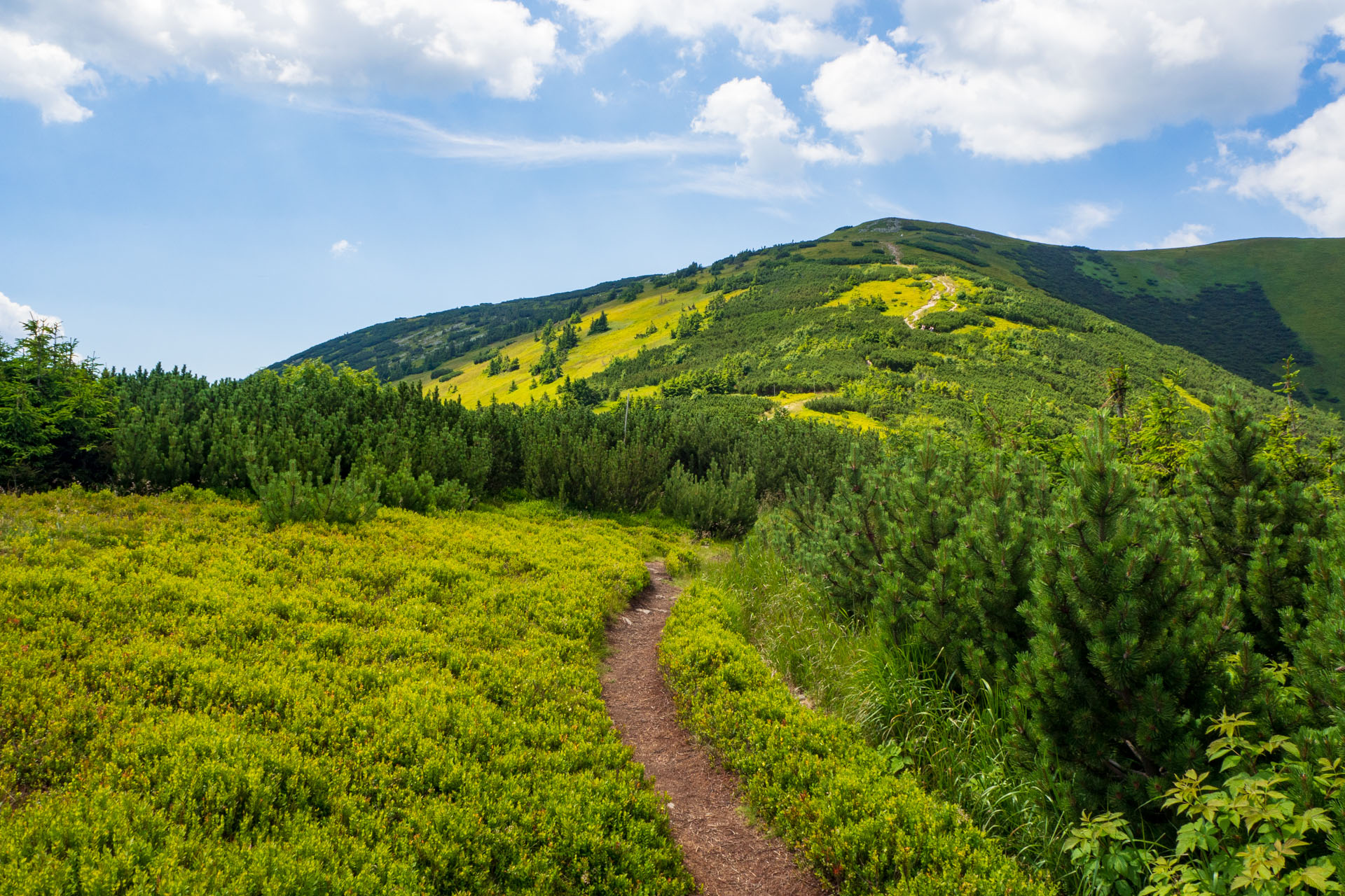 Z Hiadeľského sedla na Ďurkovú (Nízke Tatry)