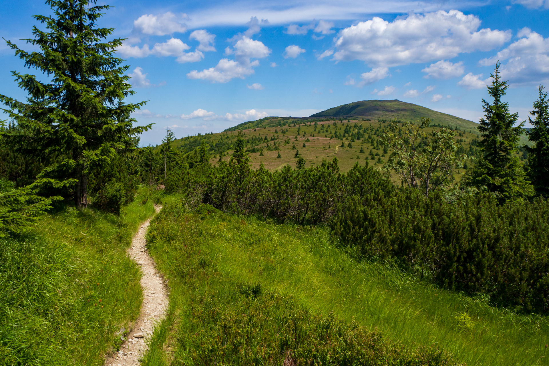 Z Hiadeľského sedla na Ďurkovú (Nízke Tatry)