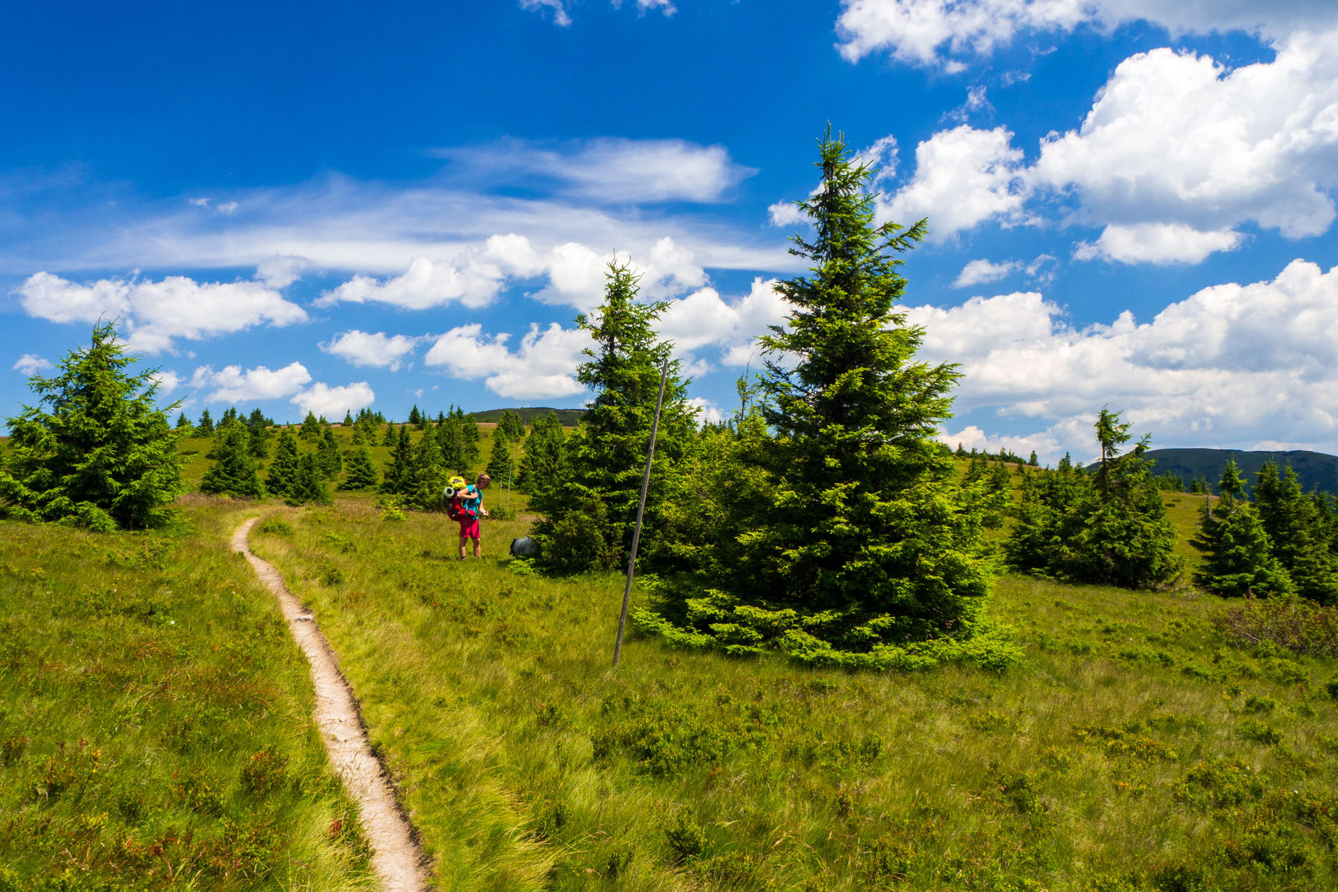 Z Hiadeľského sedla na Ďurkovú (Nízke Tatry)