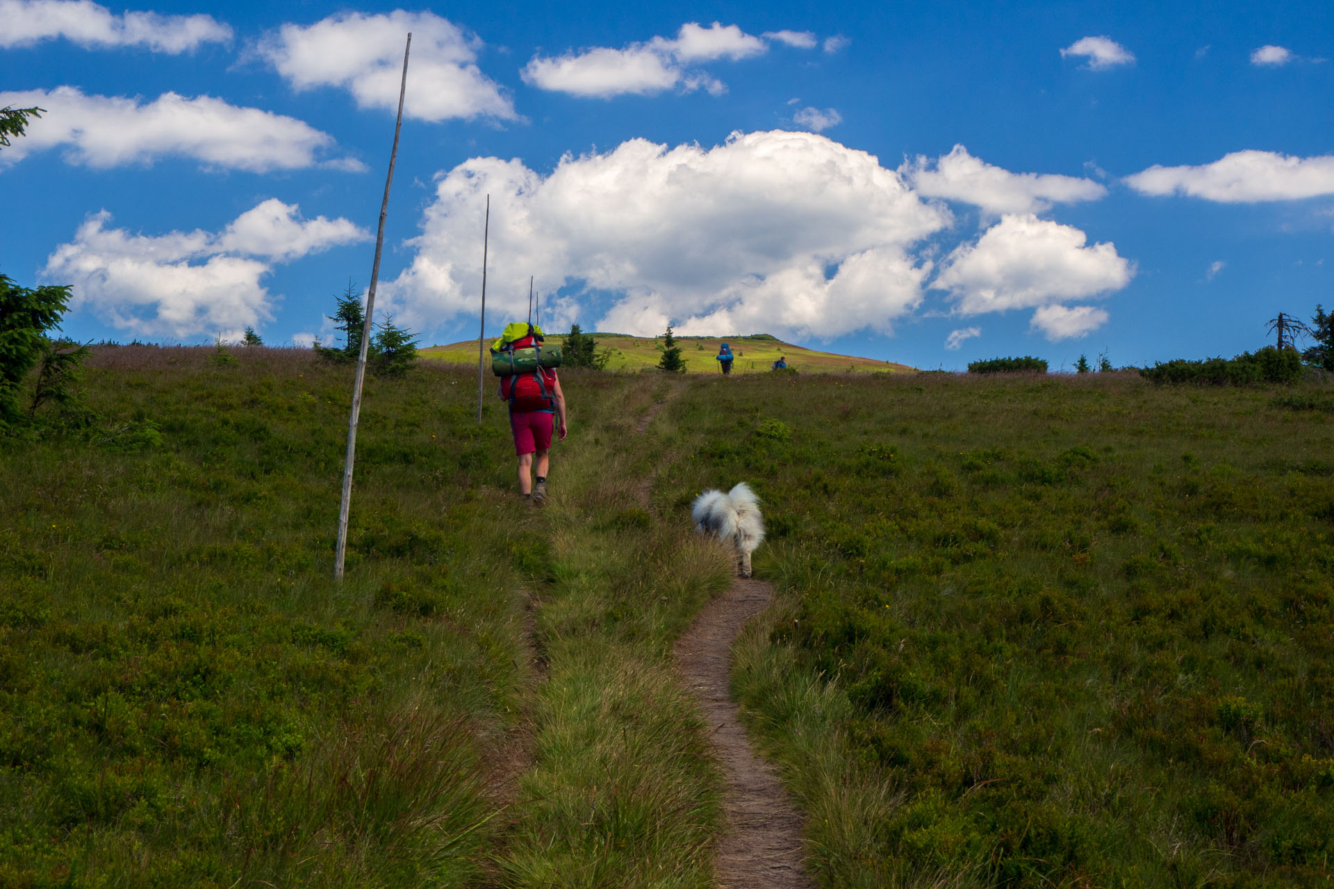 Z Hiadeľského sedla na Ďurkovú (Nízke Tatry)