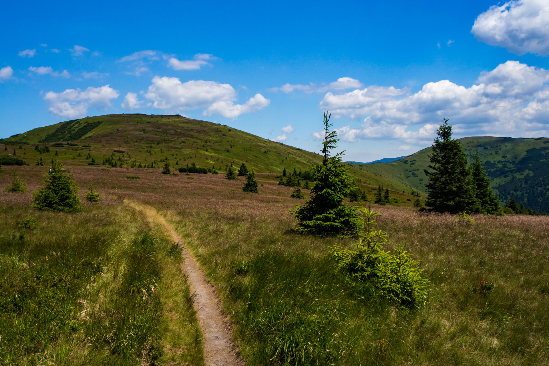 Z Hiadeľského sedla na Ďurkovú (Nízke Tatry)