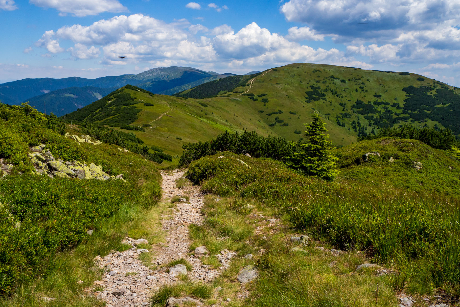 Z Hiadeľského sedla na Ďurkovú (Nízke Tatry)