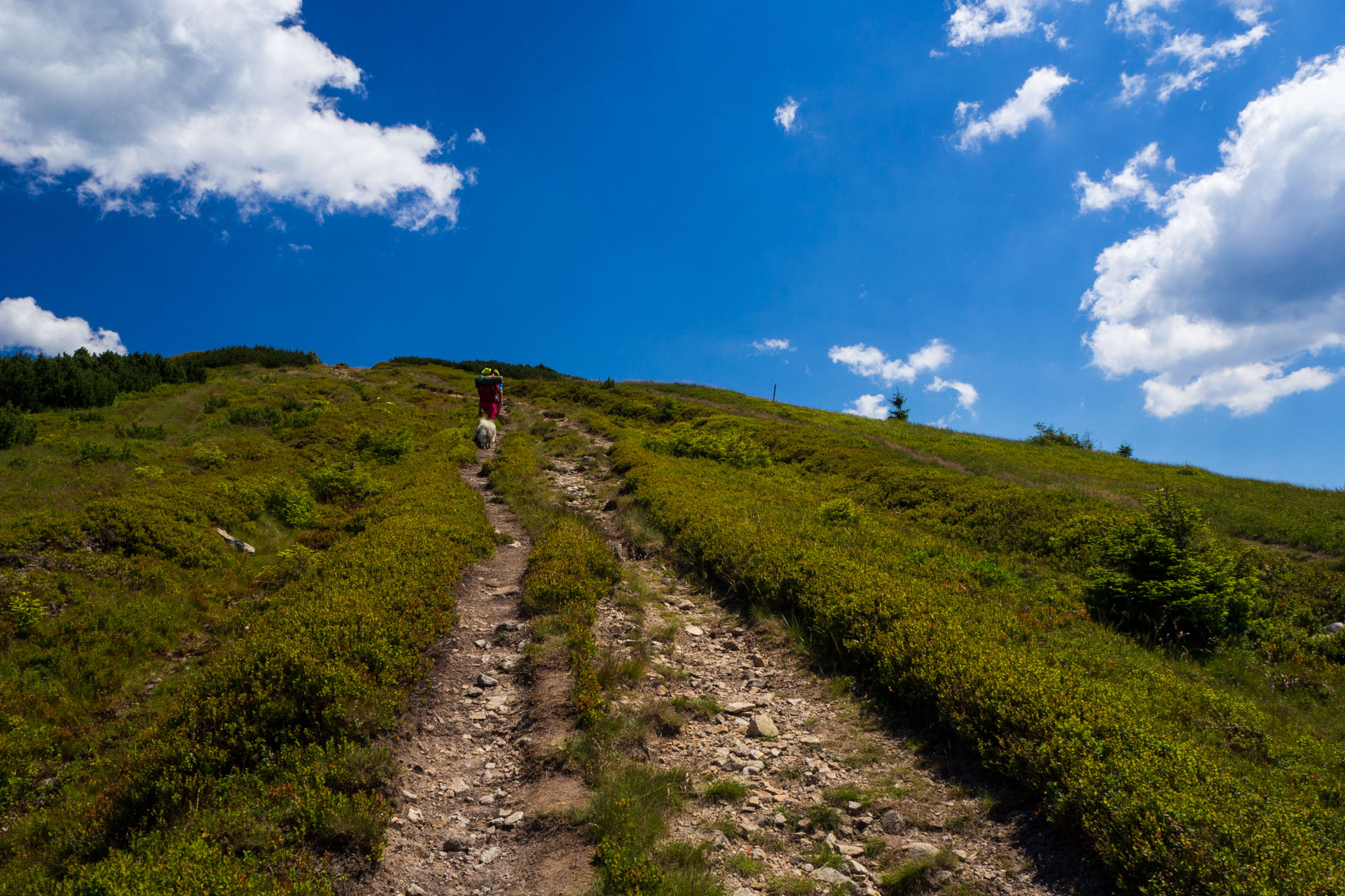 Z Hiadeľského sedla na Ďurkovú (Nízke Tatry)